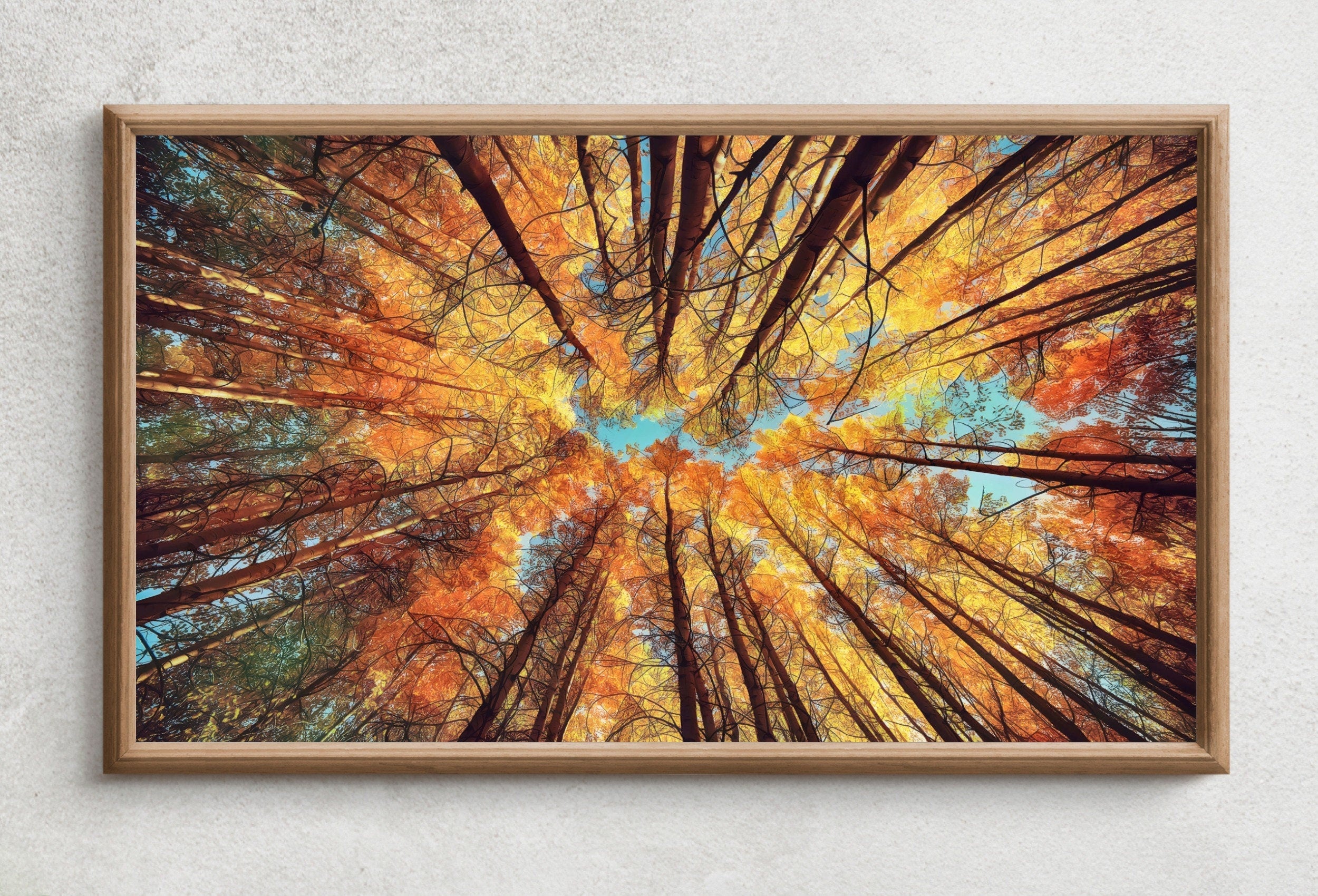 Forest Trees Canopy 4K Frame TV Art. Nature Landscape Painting Samsung Frame TV Art. Instant Download Nature Art for TV. Autumn Landscape