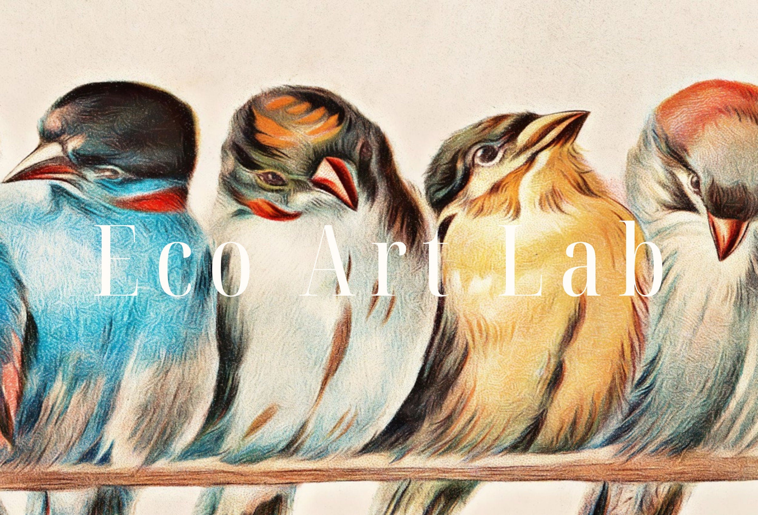 4k & 8K Samsung Frame TV Vintage Birds Art. Samsung TV Art Vintage Painting. Digital Download, Perching Birds Art for Samsung Frame TV