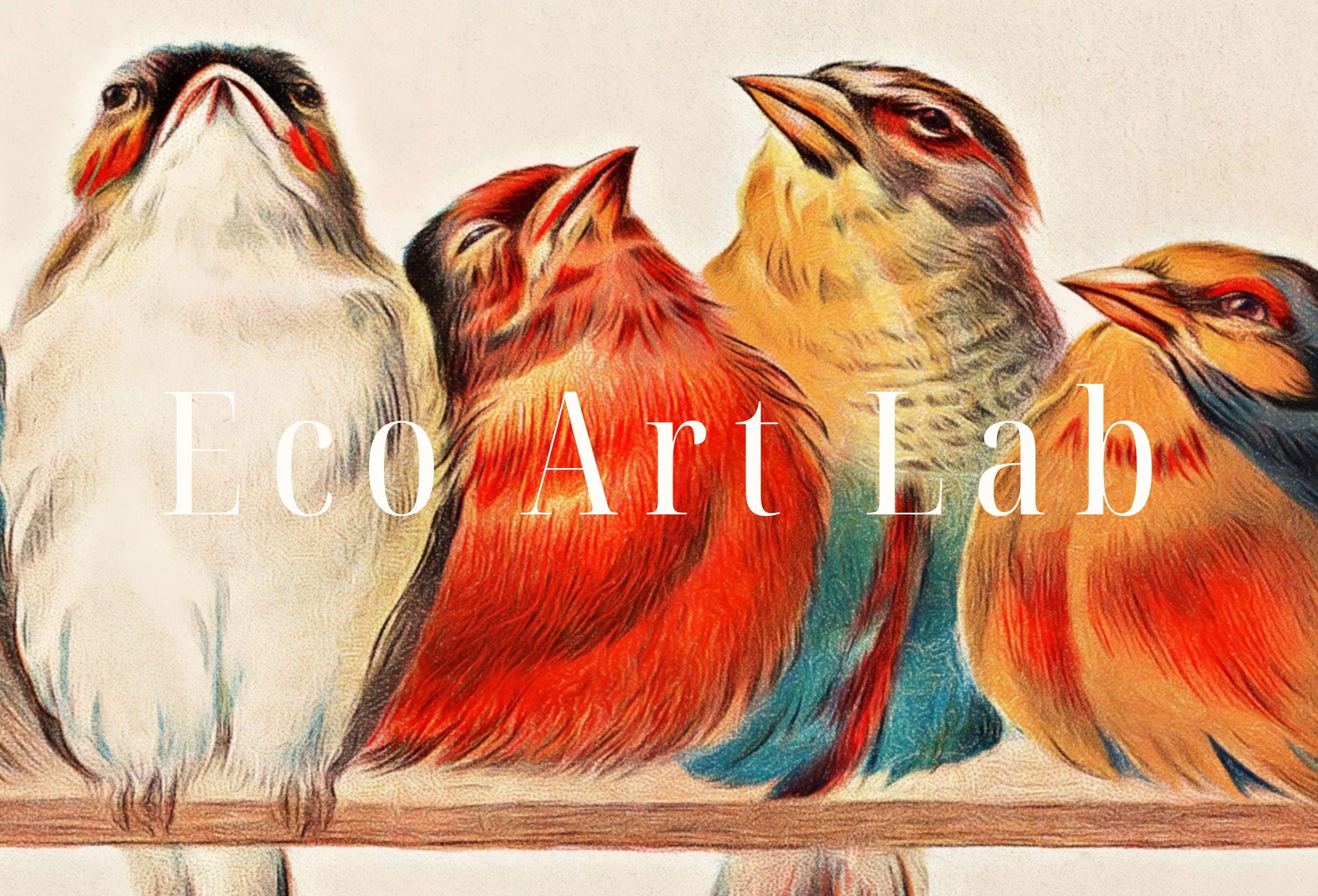 4k & 8K Samsung Frame TV Vintage Birds Art. Samsung TV Art Vintage Painting. Digital Download, Perching Birds Art for Samsung Frame TV