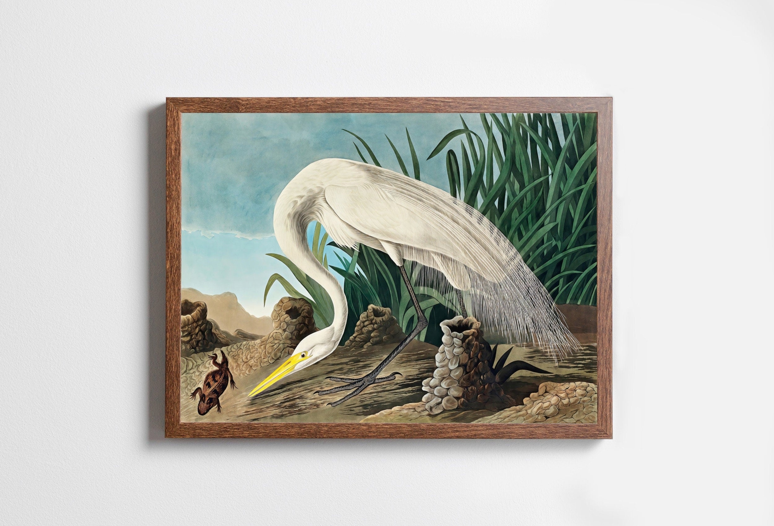 White Heron Vintage Tropical Bird Printable Wall Art. Wildlife Nature Colorful Tropical Bird Decor. Instant Download. Bird Poster Art Print
