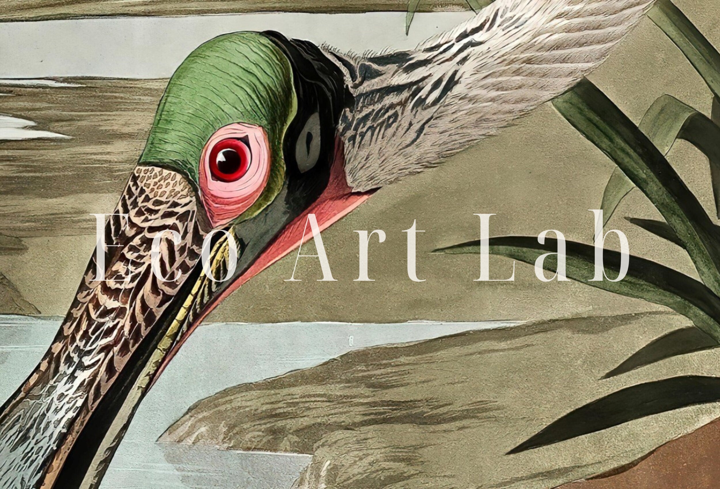 Vintage Tropical Bird Printable Wall Art. Pink Spoonbill Wildlife Nature Colorful Tropical Decor. Instant Download. Bird Poster Art Print – Printable Wall Art Digital Download – Digital Download