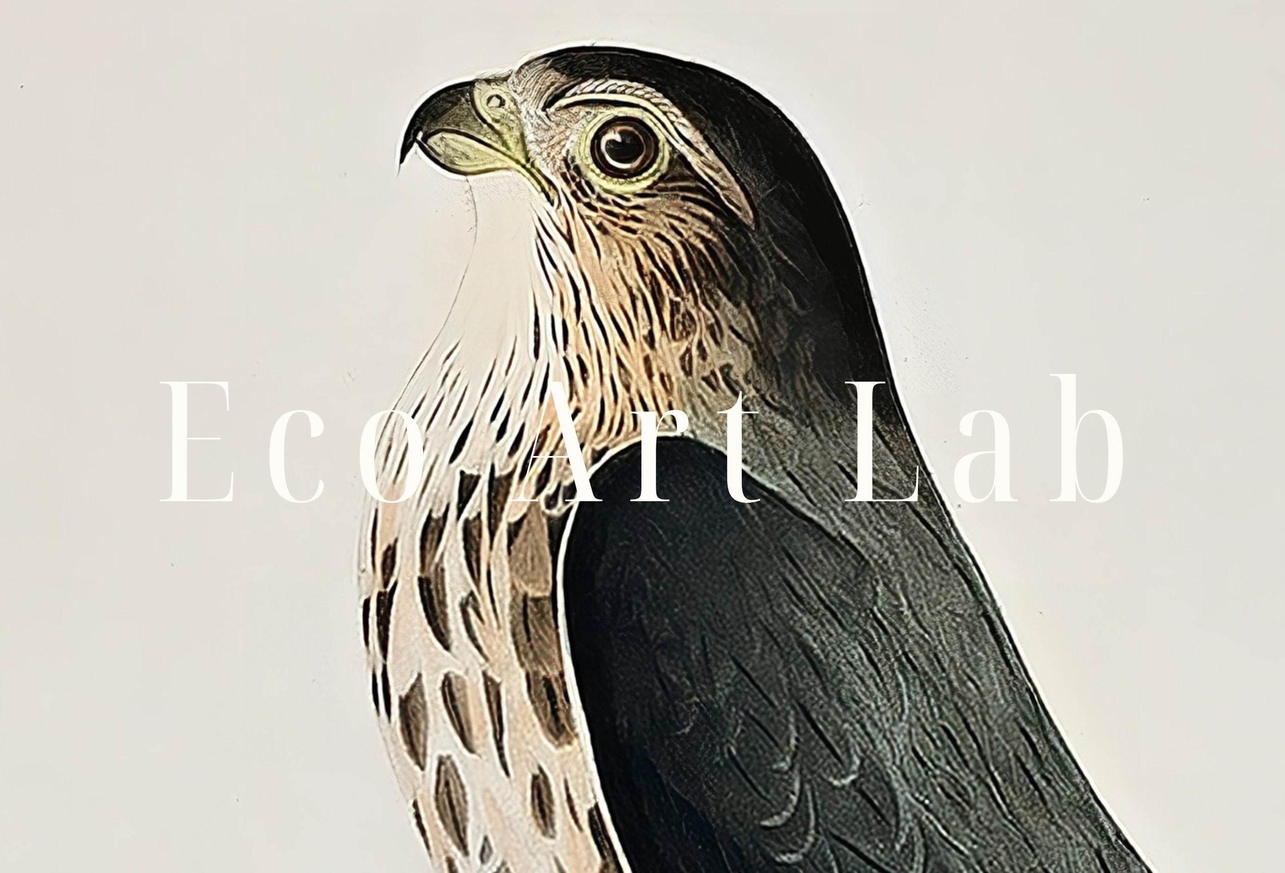 Vintage Falcon Perched on Branch Painting. Instant Download Printable Wall Art. Bird Painting. Merlin Falcon Wall Art Prints. Birds Poster – Printable Wall Art Digital Download – Digital Download
