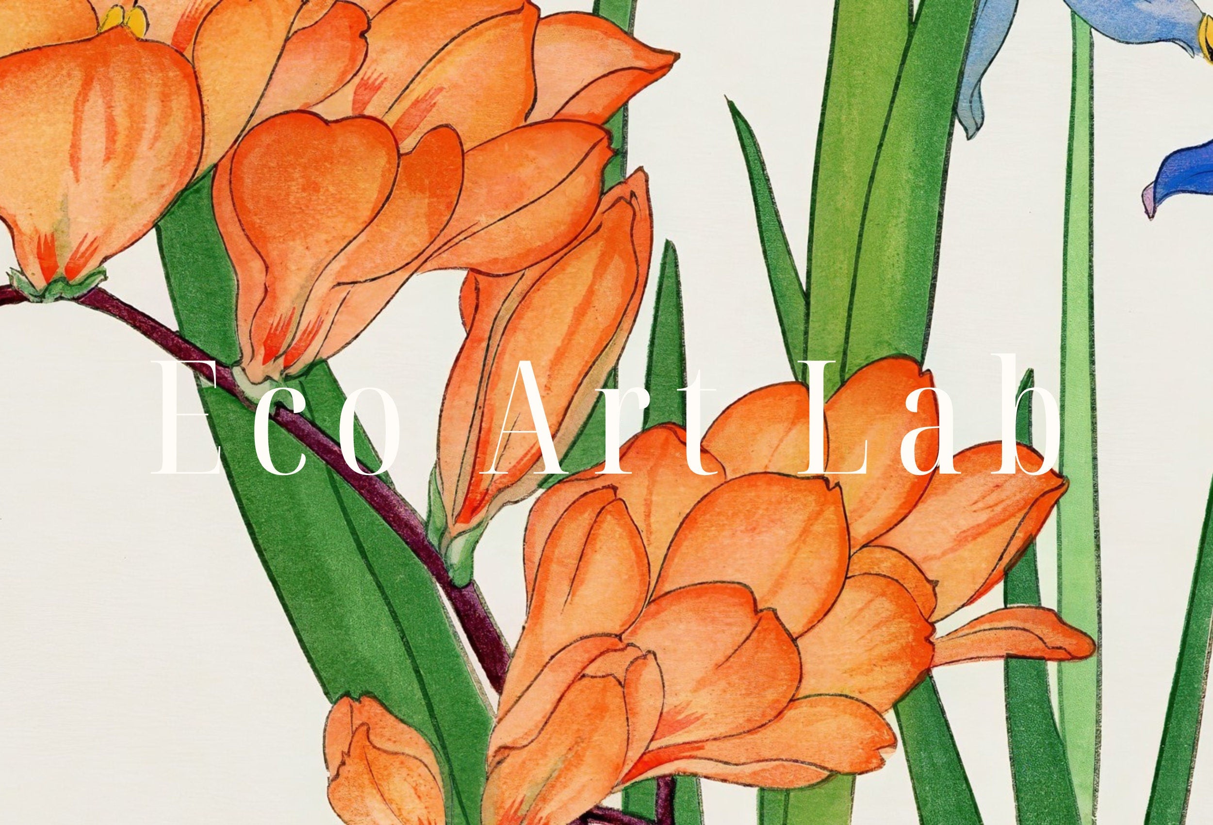 Vintage Japanese Botanical Art Freesia Flowers Painting Printable Wall Art. Floral Decor Antique Japanese Art. Botanical Print Wall Art – Printable Wall Art Digital Download – Digital Download