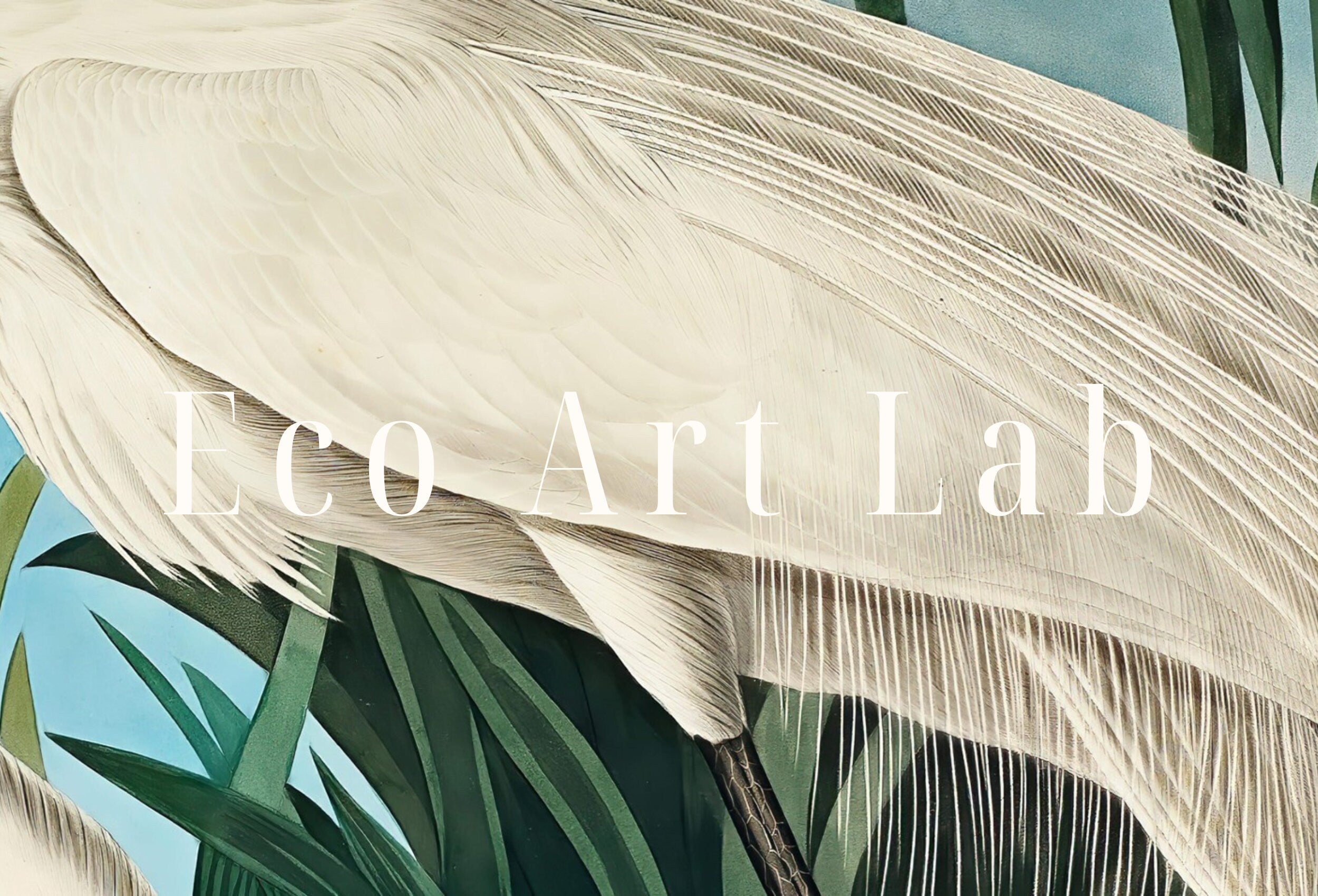White Heron Vintage Tropical Bird Printable Wall Art. Wildlife Nature Colorful Tropical Bird Decor. Instant Download. Bird Poster Art Print