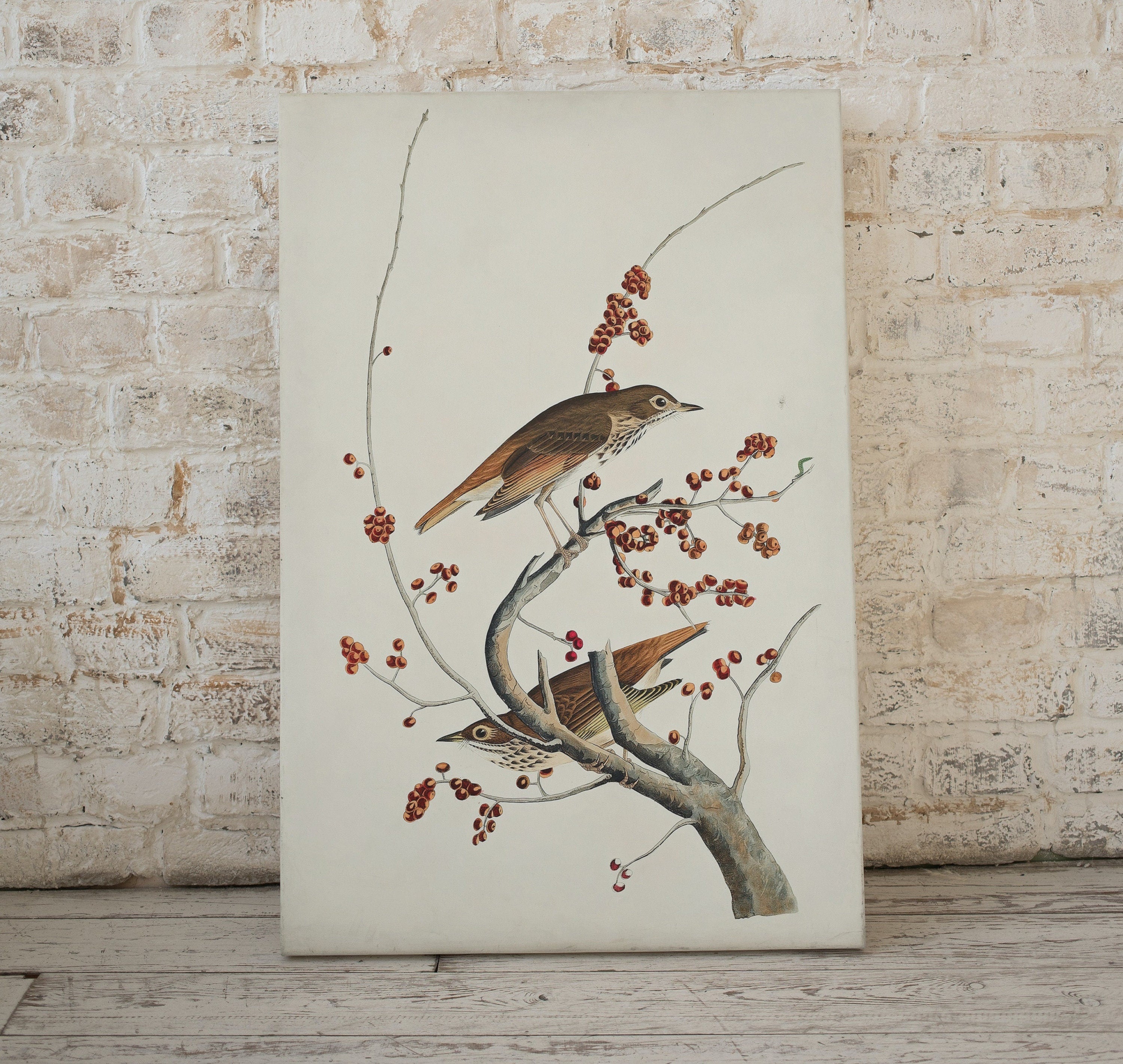 Vintage Birds Perched on Tree Branch Painting. Instant Download Printable Wall Art. Bird Painting. Birds Decor Wall Art Prints. Birds Poster – Printable Wall Art Digital Download – Digital Download