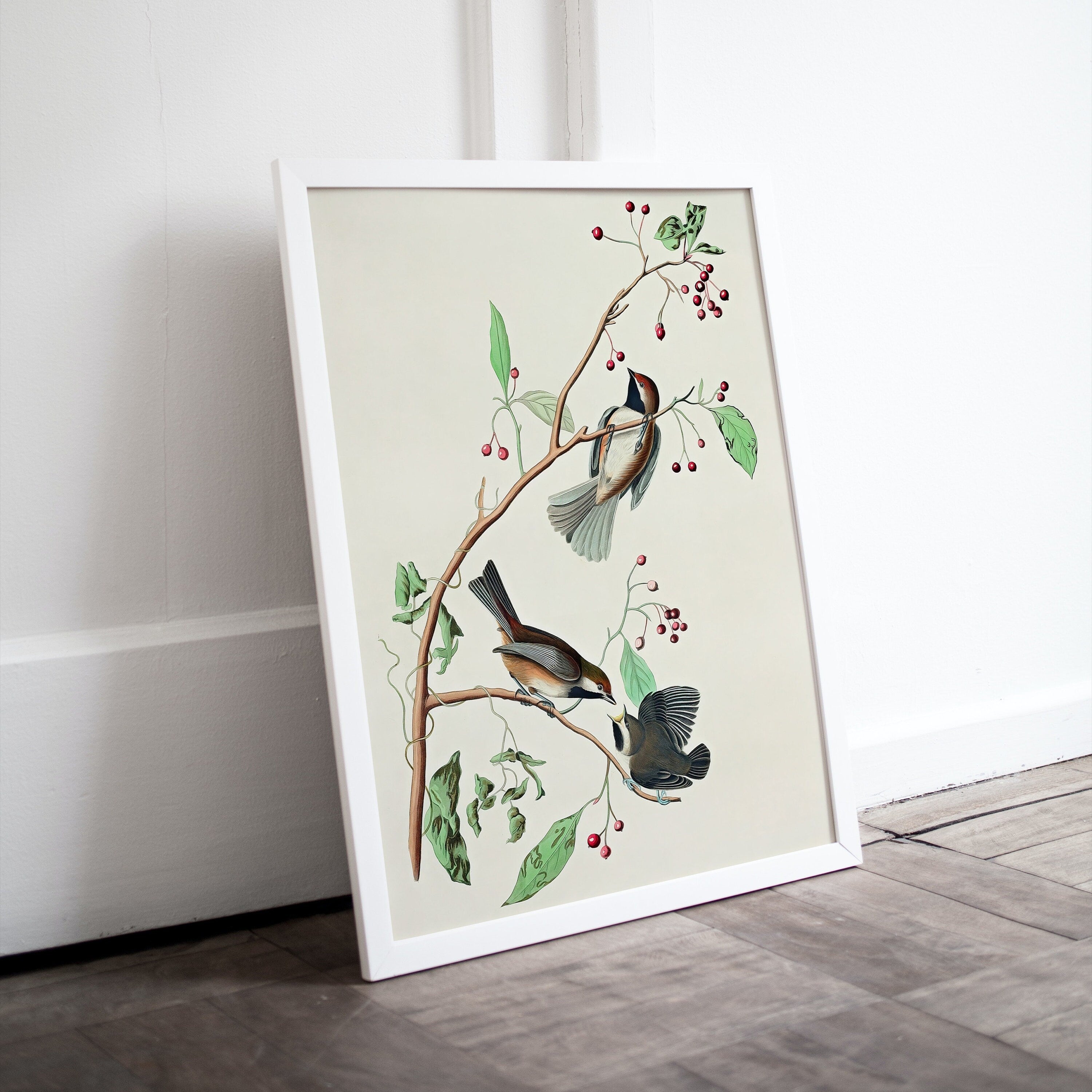 Vintage Three Birds Perched on Branch Painting. Instant Download Printable Wall Art. Bird Painting. Birds Decor Wall Art Prints. Bird Poster – Printable Wall Art Digital Download – Digital Download