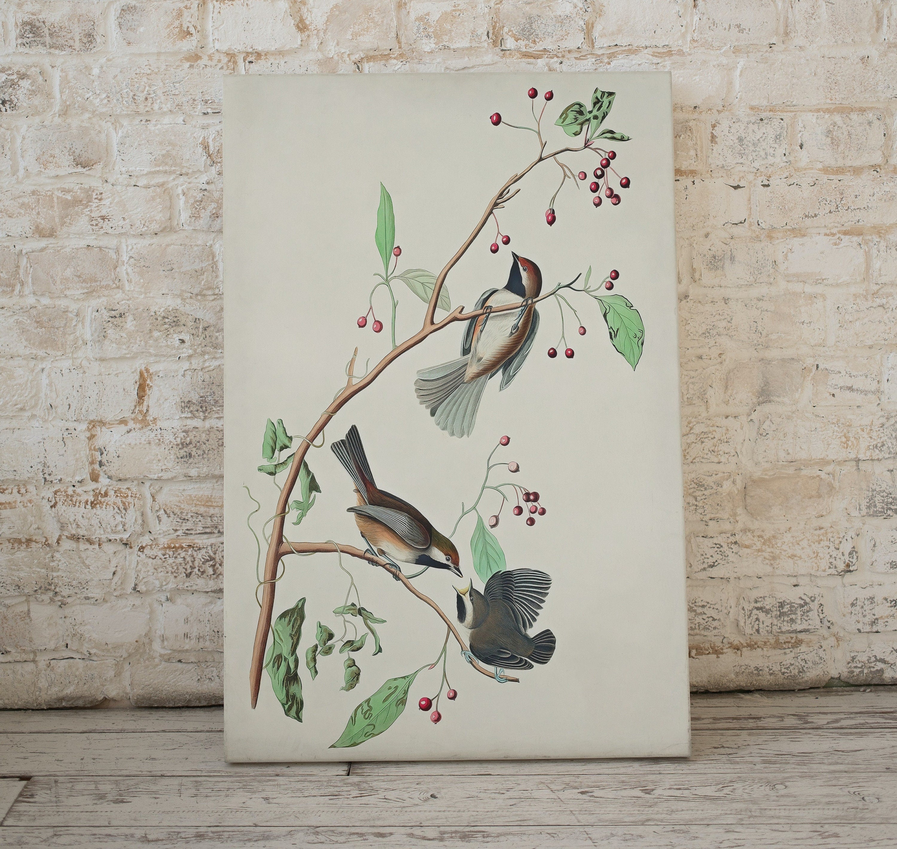 Vintage Three Birds Perched on Branch Painting. Instant Download Printable Wall Art. Bird Painting. Birds Decor Wall Art Prints. Bird Poster – Printable Wall Art Digital Download – Digital Download