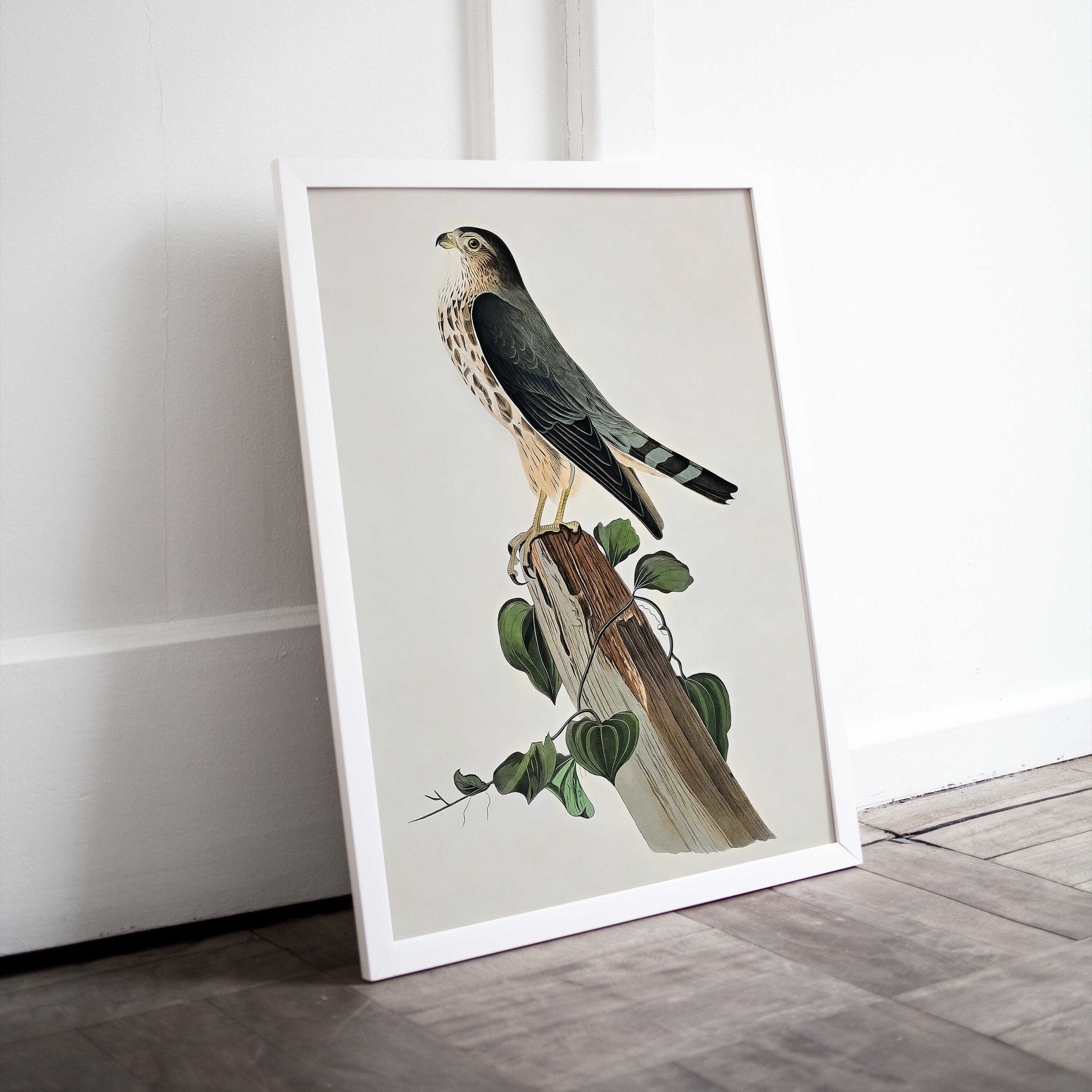 Vintage Falcon Perched on Branch Painting. Instant Download Printable Wall Art. Bird Painting. Merlin Falcon Wall Art Prints. Birds Poster – Printable Wall Art Digital Download – Digital Download
