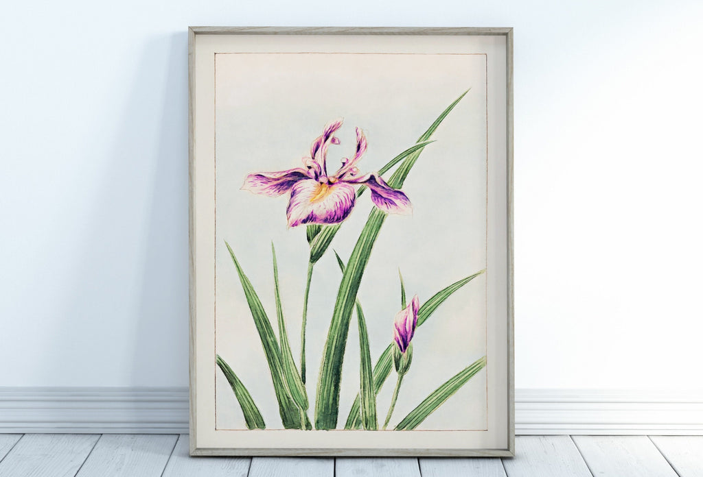 Vintage Japanese Flower Art Orchid Painting Printable Wall Art. Instant Download Antique Japanese Art Orchid Botanical Print Floral Wall Art