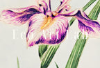 Vintage Japanese Flower Art Orchid Painting Printable Wall Art. Instant Download Antique Japanese Art Orchid Botanical Print Floral Wall Art