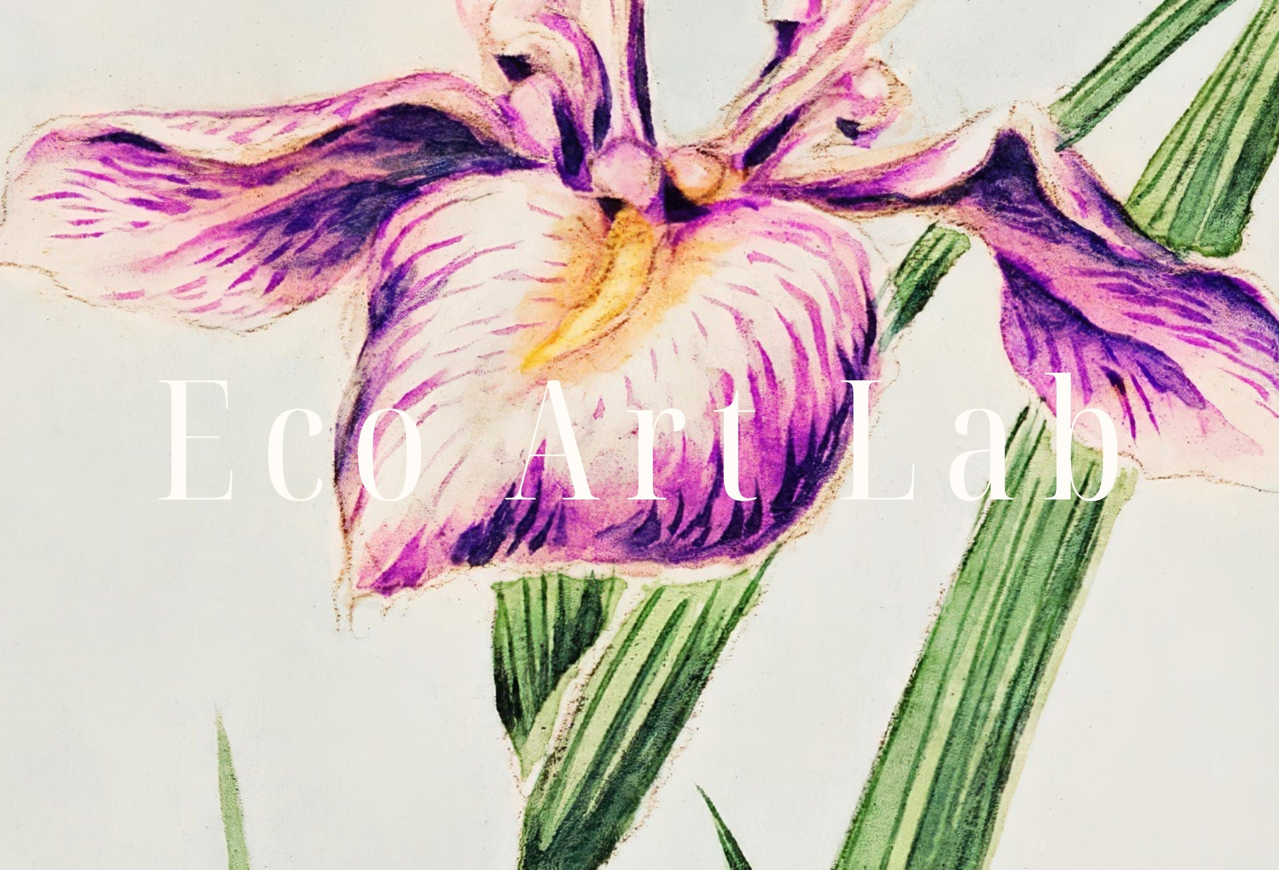 Vintage Japanese Flower Art Orchid Painting Printable Wall Art. Instant Download Antique Japanese Art Orchid Botanical Print Floral Wall Art