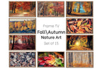Set of 15 Samsung Frame TV 4K Art. Fall Wall Art Nature Digital Collection. Autumn Decor TV Art Set. Instant Download Frame TV Art.