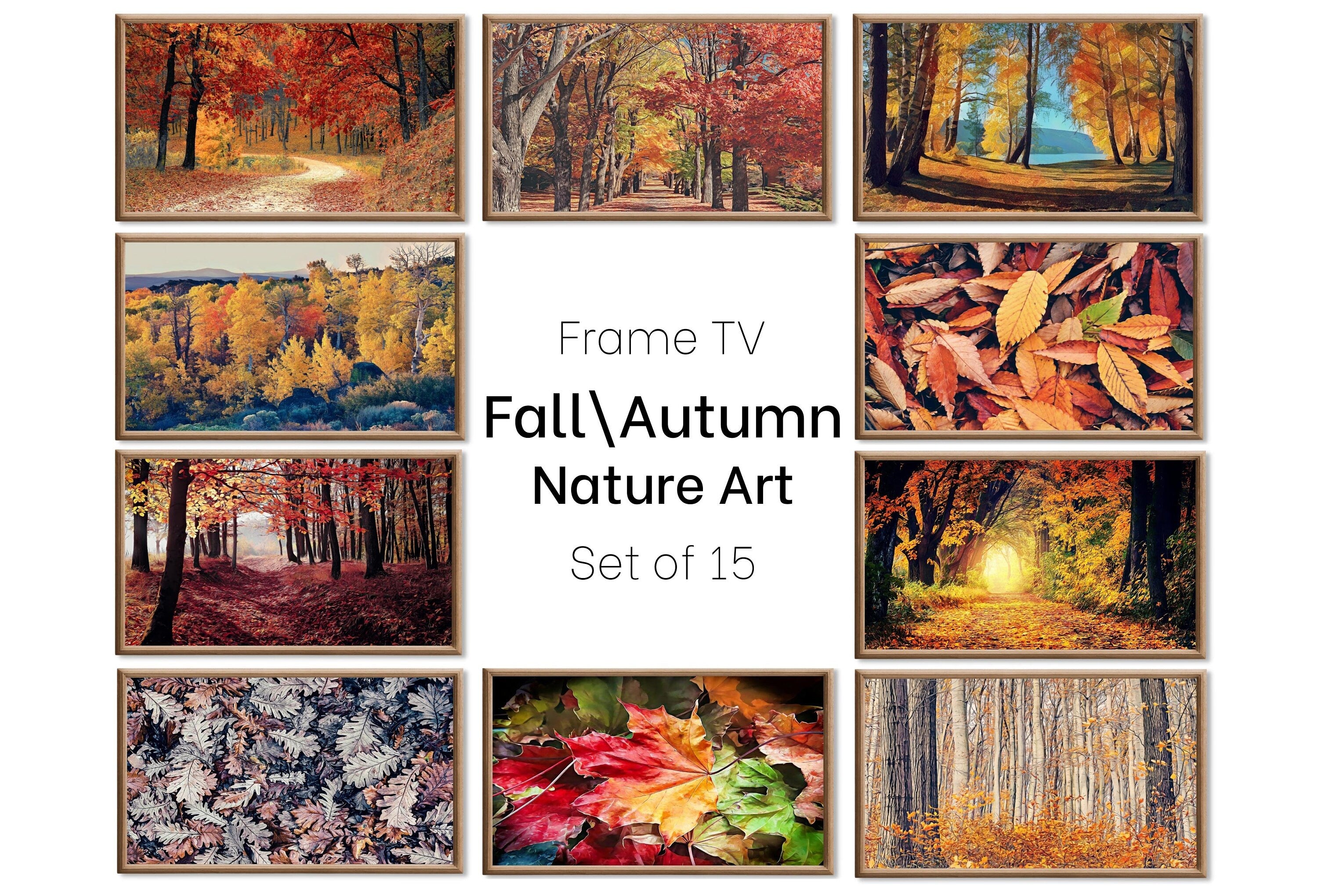Set of 15 Samsung Frame TV 4K Art. Fall Wall Art Nature Digital Collection. Autumn Decor TV Art Set. Instant Download Frame TV Art.