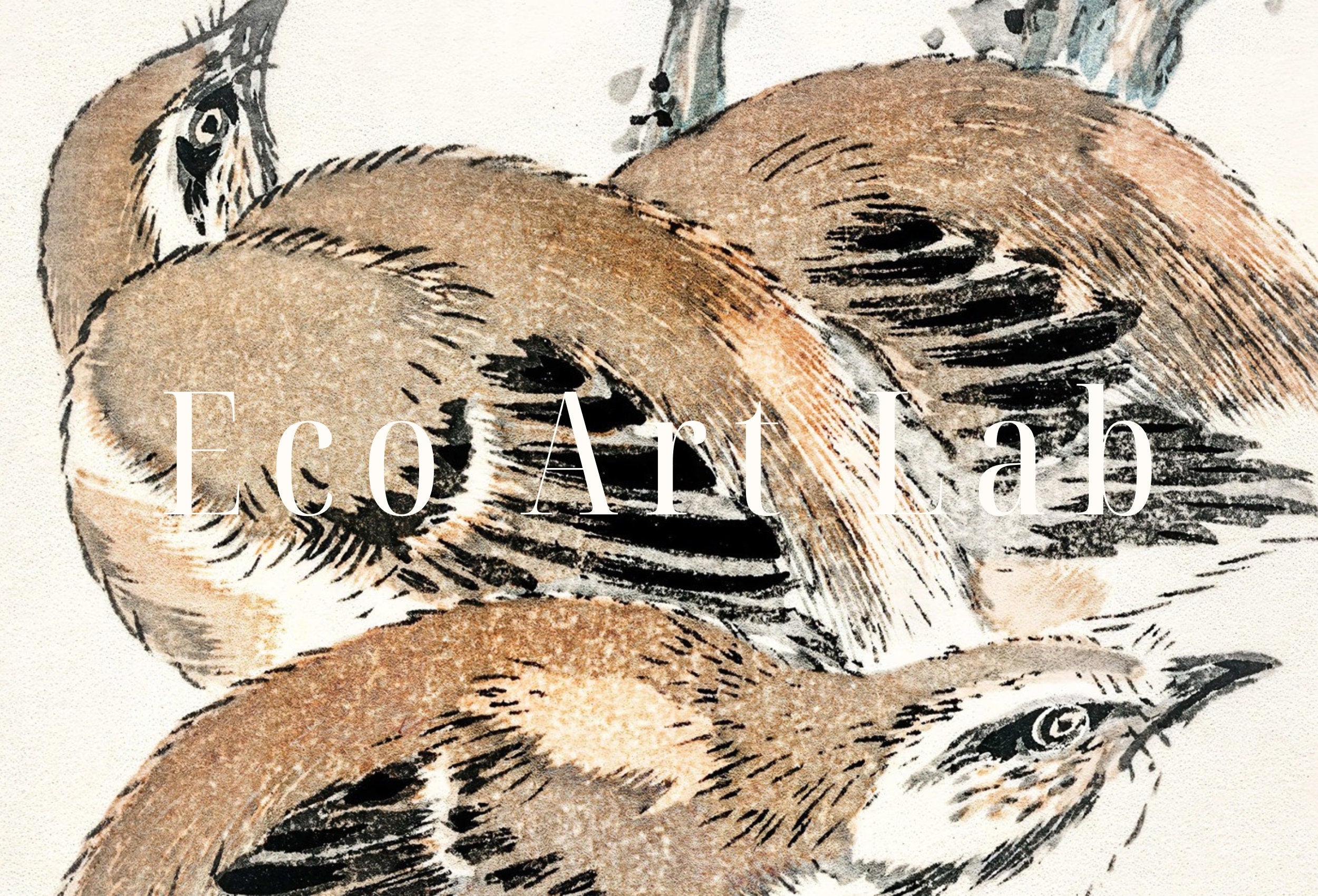 Vintage Meadow Bunting and Pear Flower Japanese Painting. Japanese Wall Art Printable Poster. 19th Century Japanese Birds Vintage Wall Art – Printable Wall Art Digital Download – Digital Download