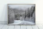 Winter Forest Trail Landscape Digital Painting. Printable Wall Art. Home or Office Decor. Nature Print Digital Winter Art. Instant Download