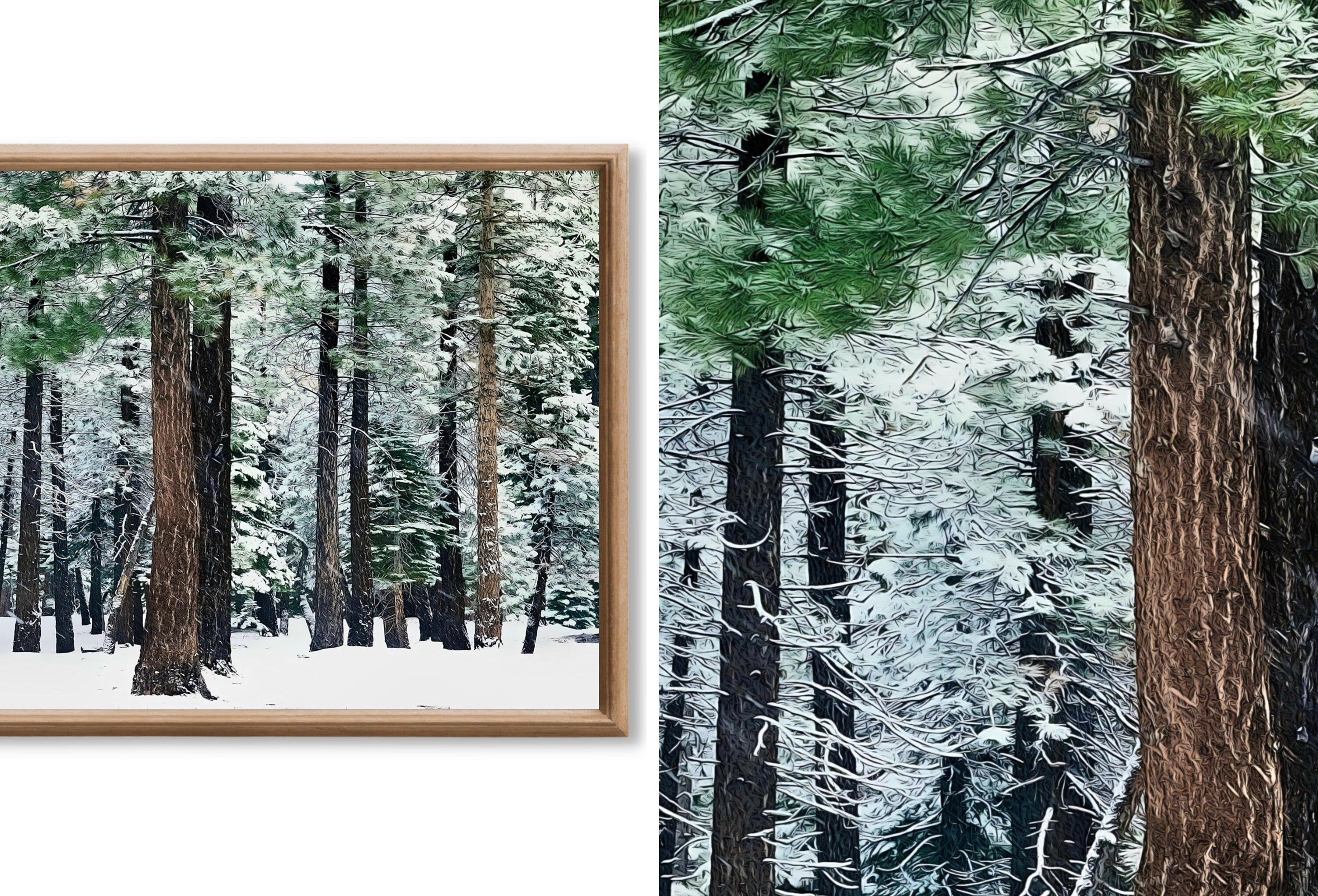 Set of 15 Samsung Frame TV 4K Art. Winter Wall Art Nature Digital Collection. Winter Snow Decor TV Art Set. Instant Download Frame TV Art.