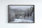 Winter Forest Trail Landscape Digital Painting. Printable Wall Art. Home or Office Decor. Nature Print Digital Winter Art. Instant Download
