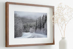 Winter Forest Trail Landscape Digital Painting. Printable Wall Art. Home or Office Decor. Nature Print Digital Winter Art. Instant Download