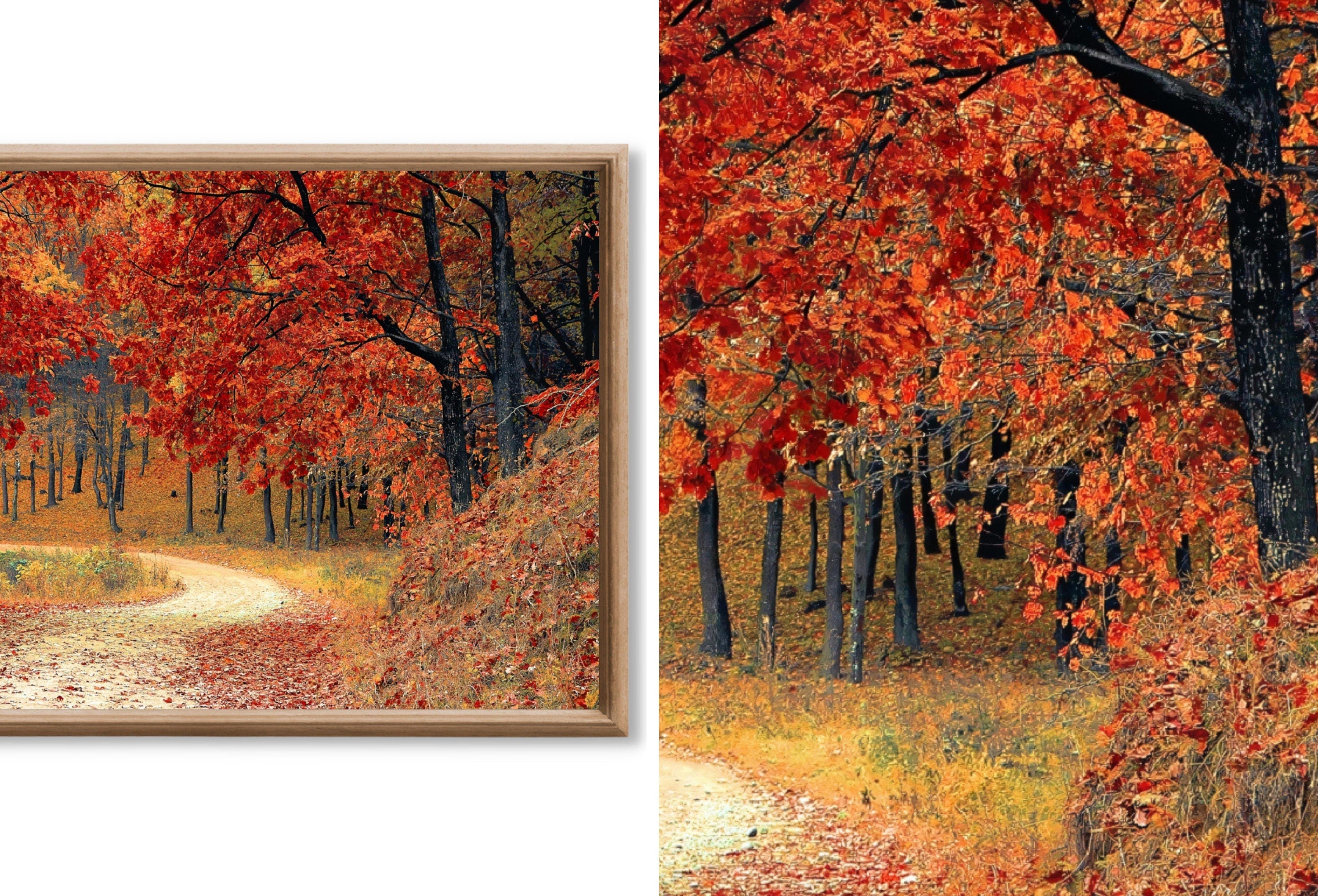 Set of 40 Samsung Frame TV 4K Art. Fall Wall Art Nature Digital Collection. Autumn Decor TV Art Set. Instant Download Frame TV Art.
