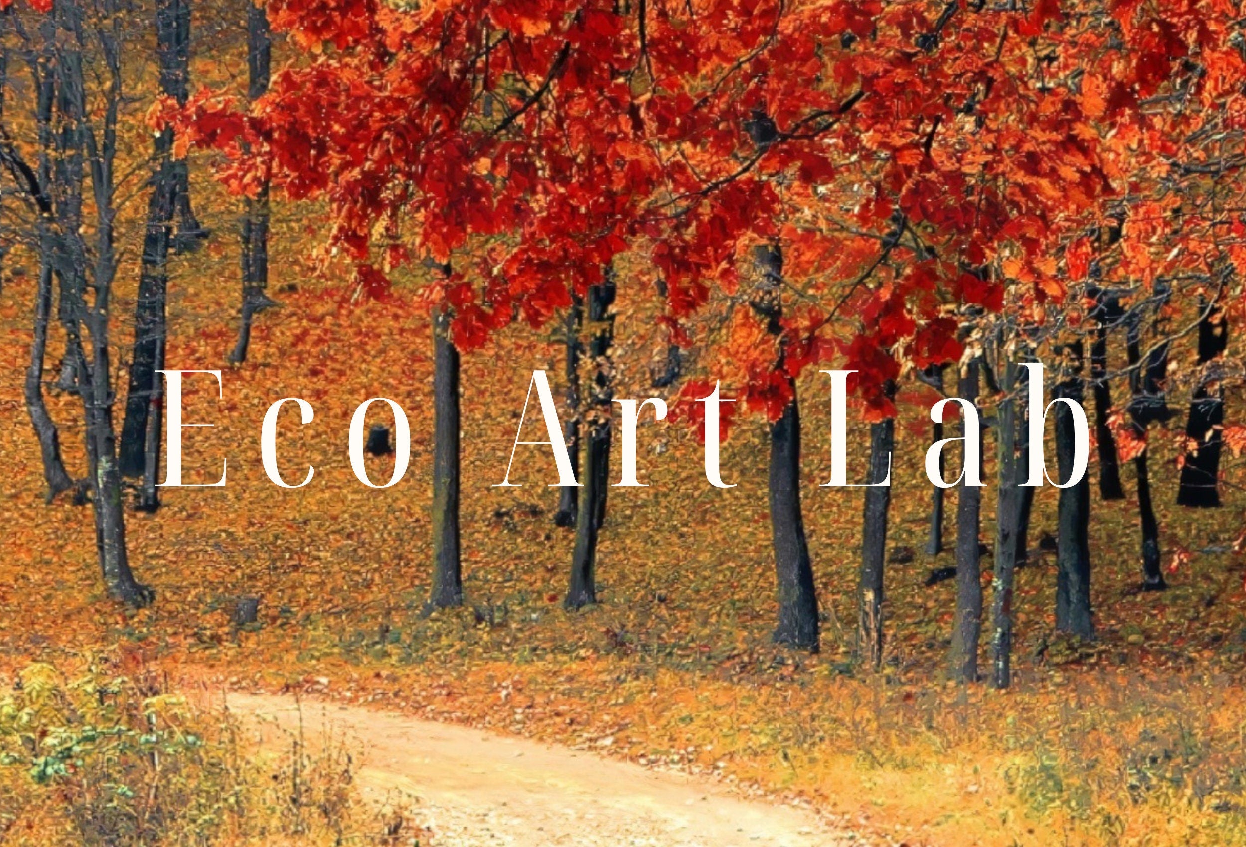 Samsung Frame TV Art 4K Forests in the Fall Landscape Digital Paintings Set of 2. Instant Download. Nature Fall Art for the Samsung Frame TV
