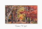 Samsung Frame TV Art 4K Forests in the Fall Landscape Digital Paintings Set of 3. Instant Download. Nature Fall Art for the Samsung Frame TV