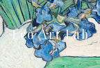 Set of 4 Samsung Frame TV 4K Art. Van Gogh Famous Flowers Paintings Collection. Vincent Van Gogh Art Set. Instant Download Frame TV Art. #2