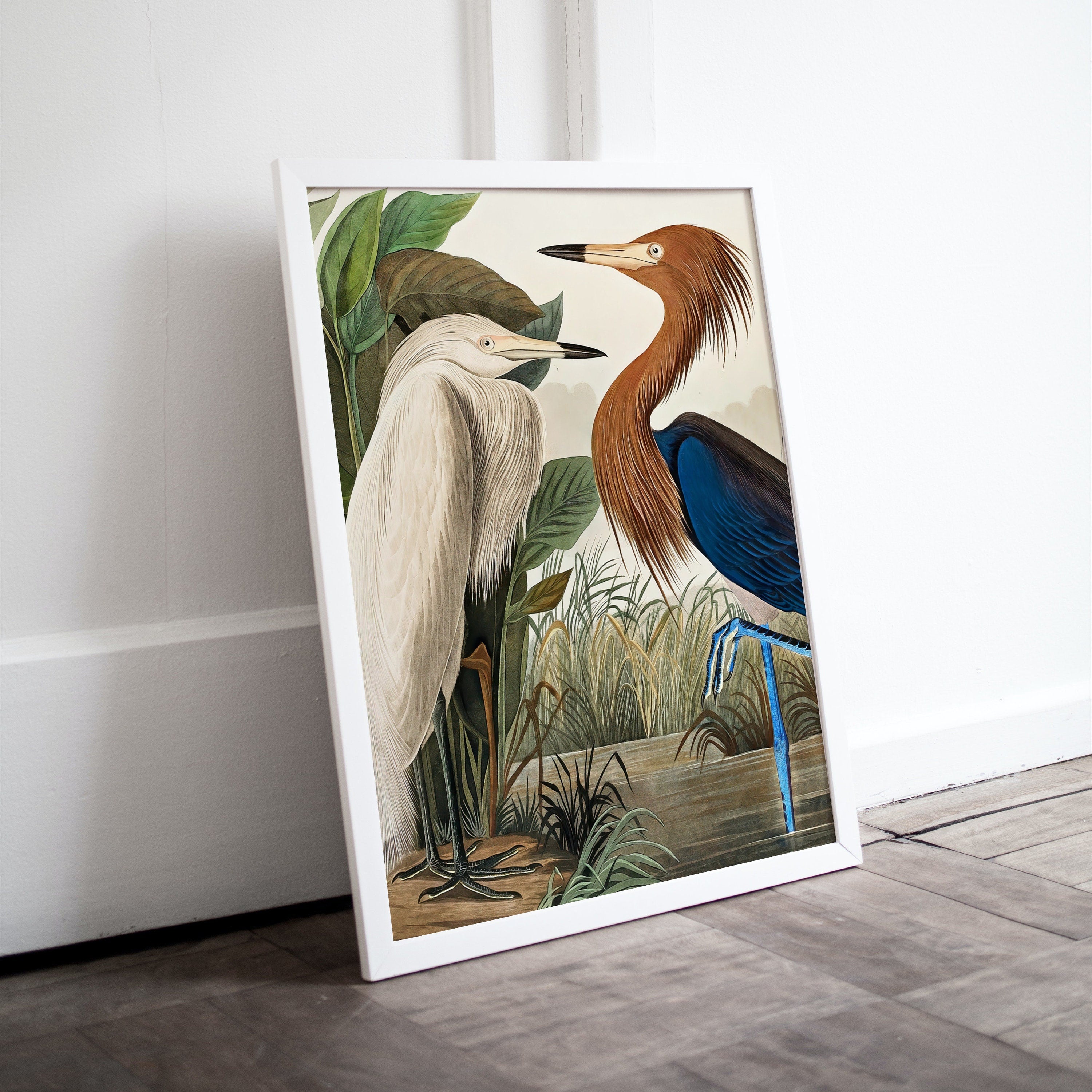 Vintage Two Herons Tropical Bird Printable Wall Art. Wildlife Nature Colorful Tropical Decor. Instant Download. Bird Poster Art Print – Printable Wall Art Digital Download – Digital Download