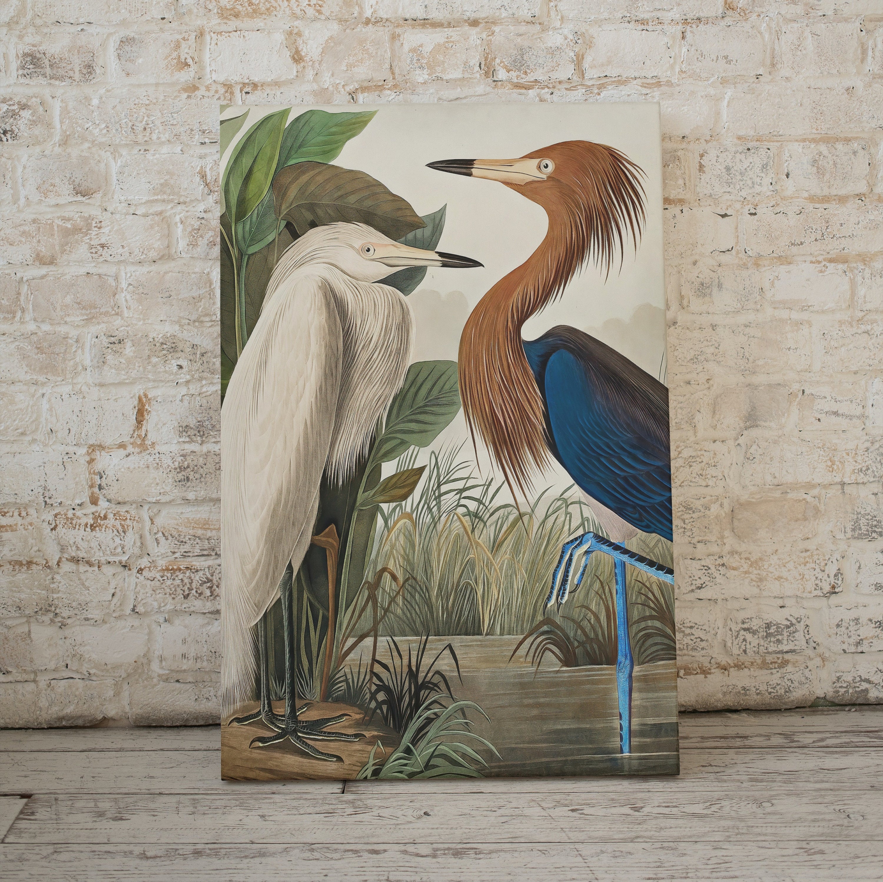 Vintage Two Herons Tropical Bird Printable Wall Art. Wildlife Nature Colorful Tropical Decor. Instant Download. Bird Poster Art Print – Printable Wall Art Digital Download – Digital Download