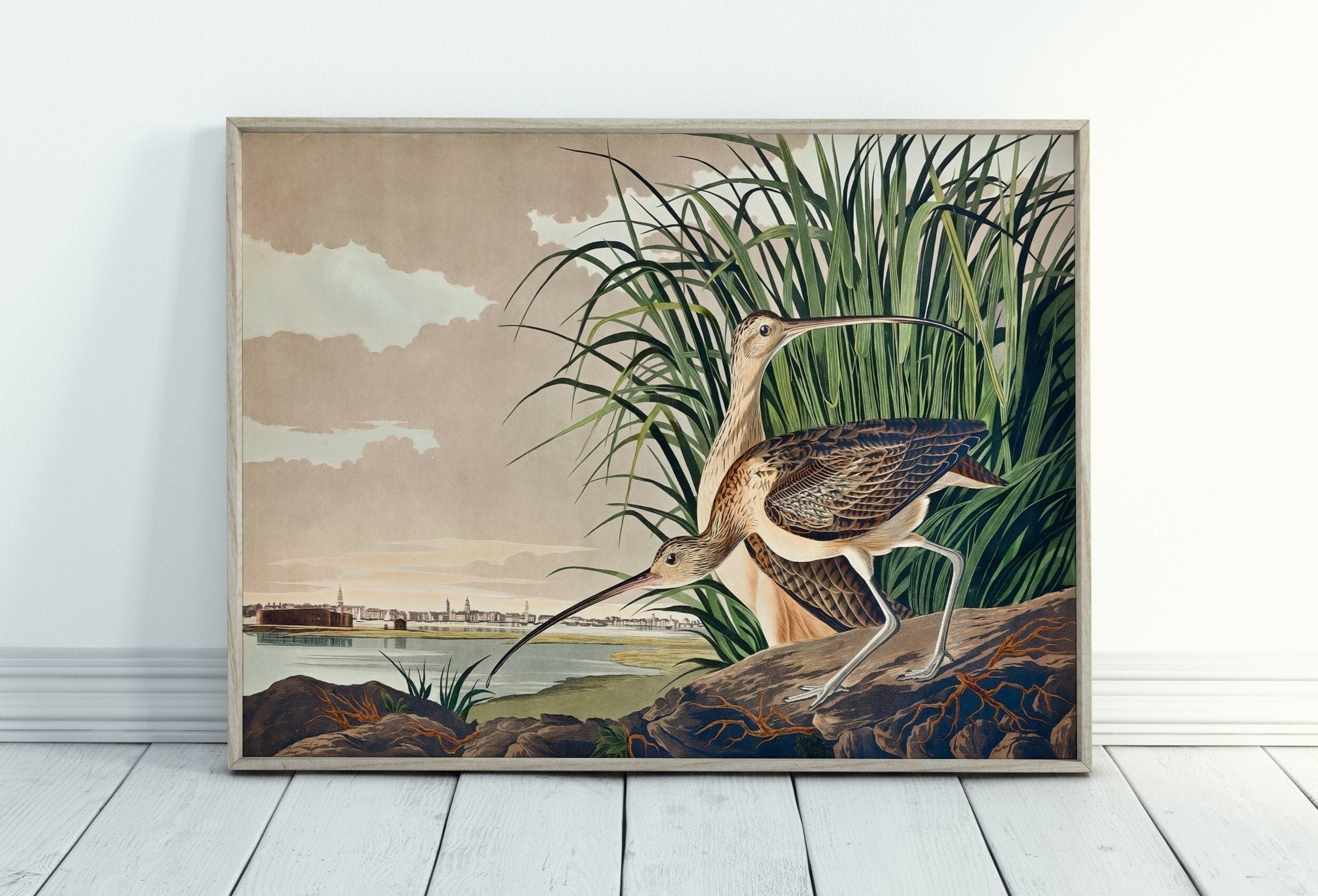 Vintage Tropical Bird Printable Wall Art. Long-billed Curlew Wildlife Nature Colorful Tropical Decor. Instant Download Bird Poster Art Print