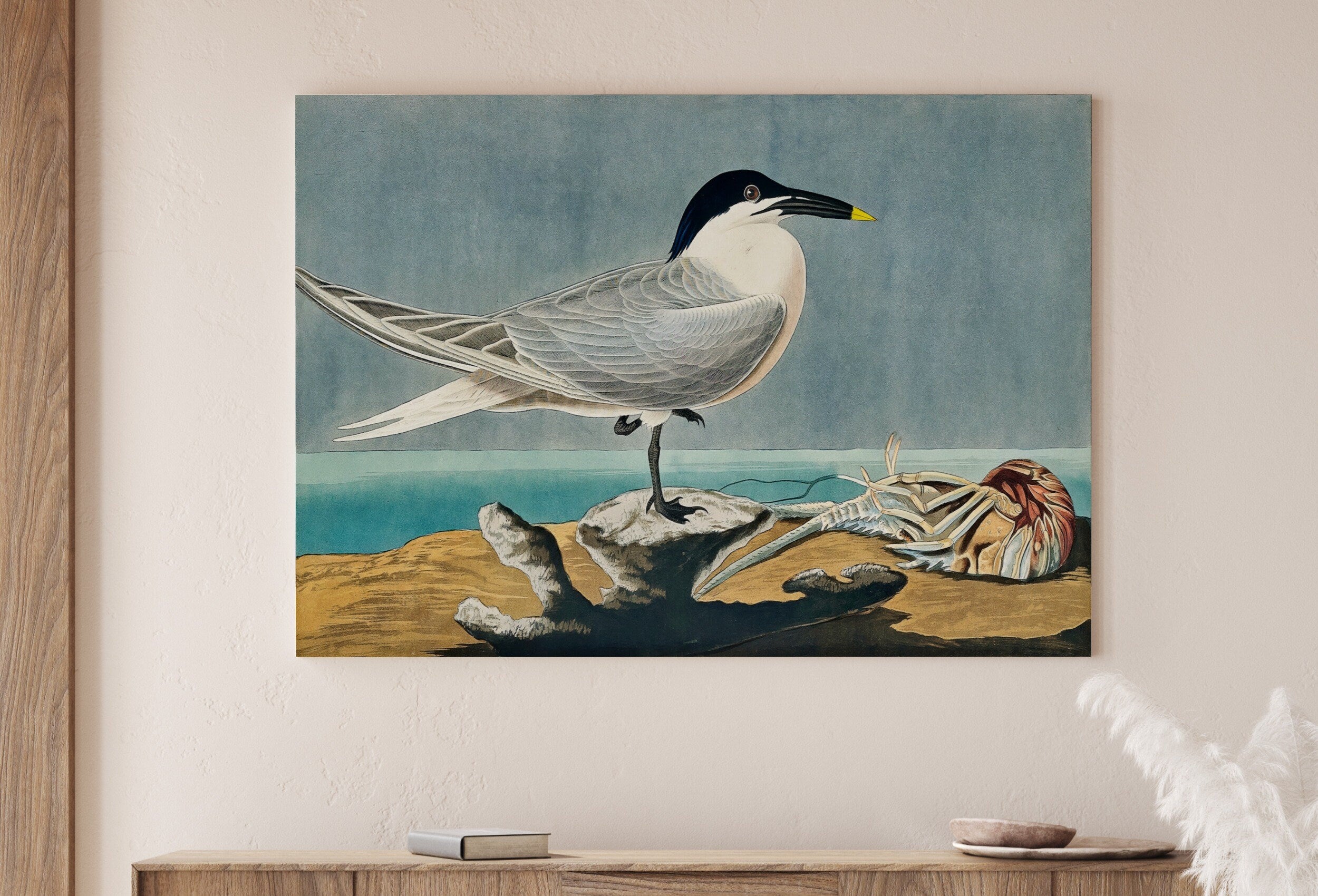 Vintage Tropical Bird Printable Wall Art. Sandwich Tern Bird Wildlife Nature Colorful Tropical Decor. Instant Download Bird Poster Art Print – Printable Wall Art Digital Download – Digital Download