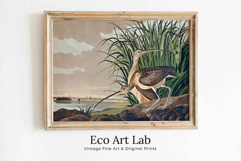 Vintage Tropical Bird Printable Wall Art. Long-billed Curlew Wildlife Nature Colorful Tropical Decor. Instant Download Bird Poster Art Print