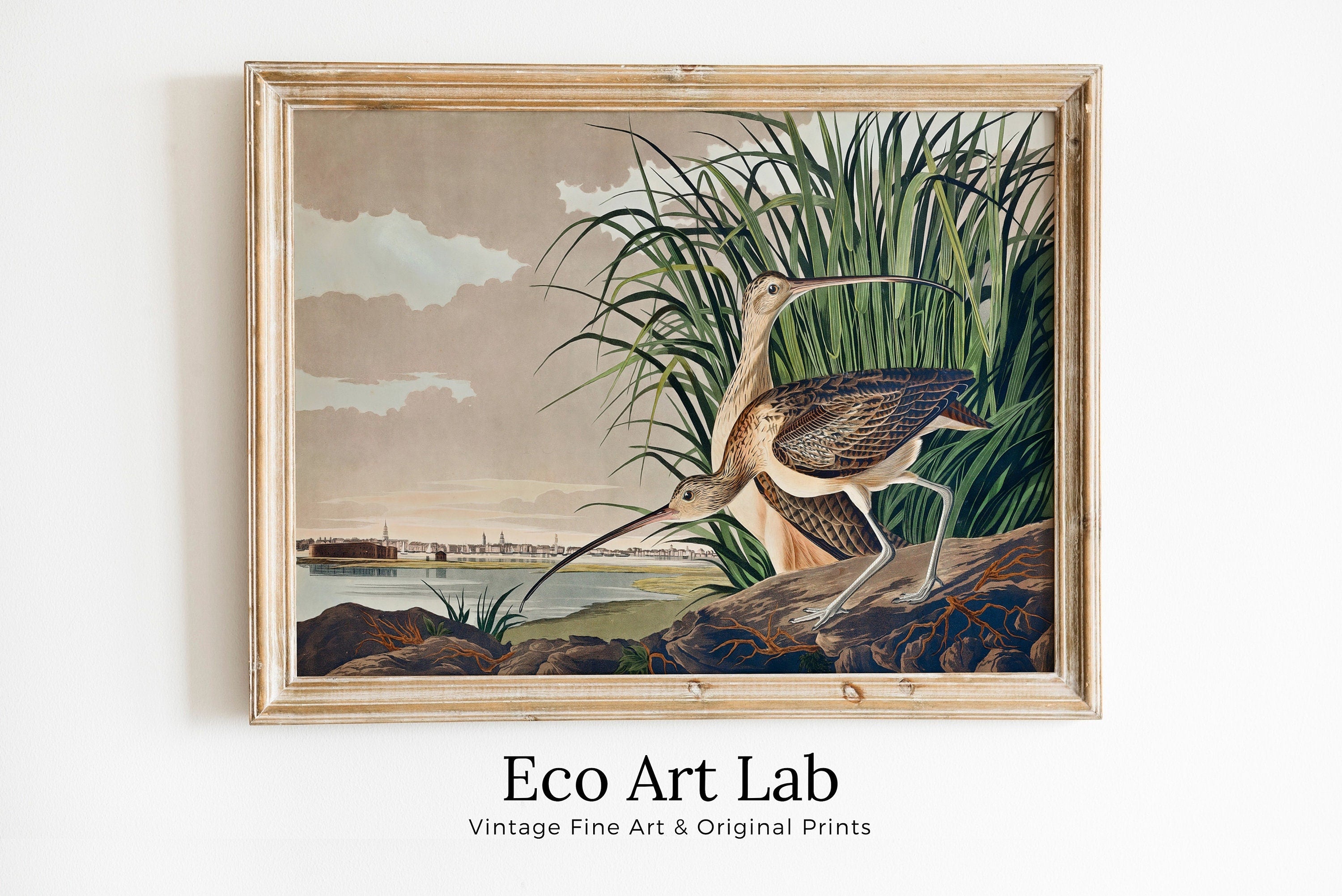 Vintage Tropical Bird Printable Wall Art. Long-billed Curlew Wildlife Nature Colorful Tropical Decor. Instant Download Bird Poster Art Print