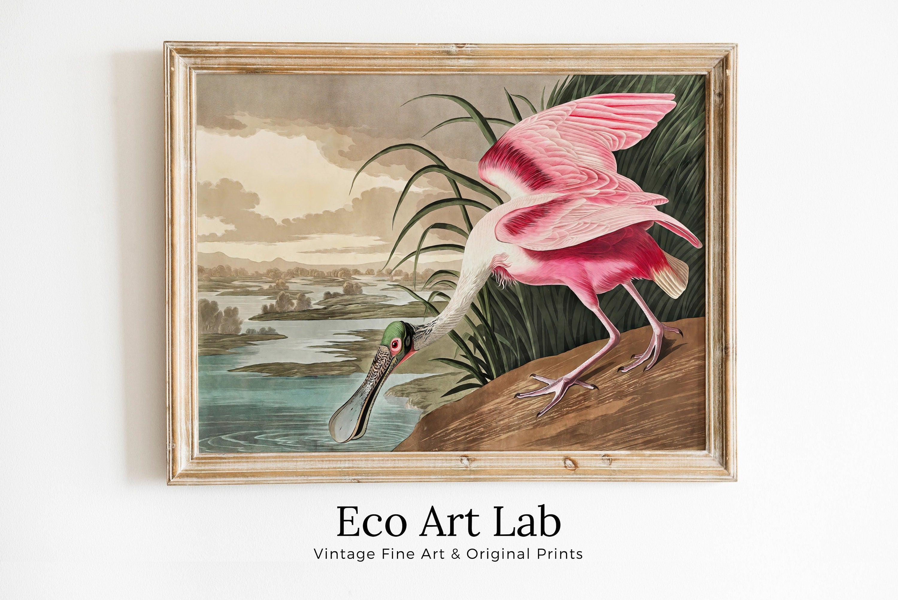Vintage Tropical Bird Printable Wall Art. Pink Spoonbill Wildlife Nature Colorful Tropical Decor. Instant Download. Bird Poster Art Print – Printable Wall Art Digital Download – Digital Download