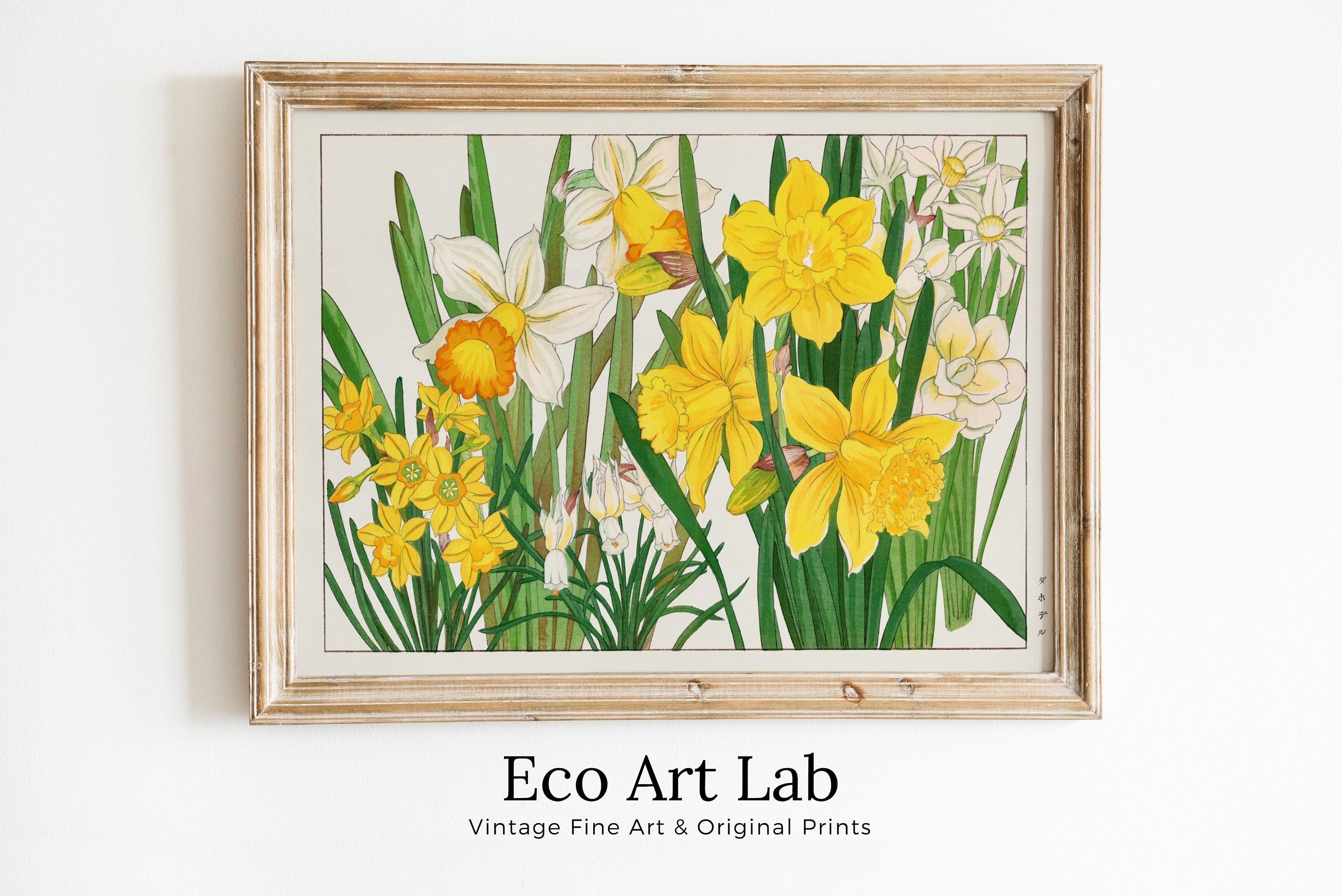 Vintage Japanese Botanical Art Daffodil Flowers Painting Printable Wall Art. Floral Decor Antique Japanese Art. Botanical Print Wall Art – Printable Wall Art Digital Download – Digital Download