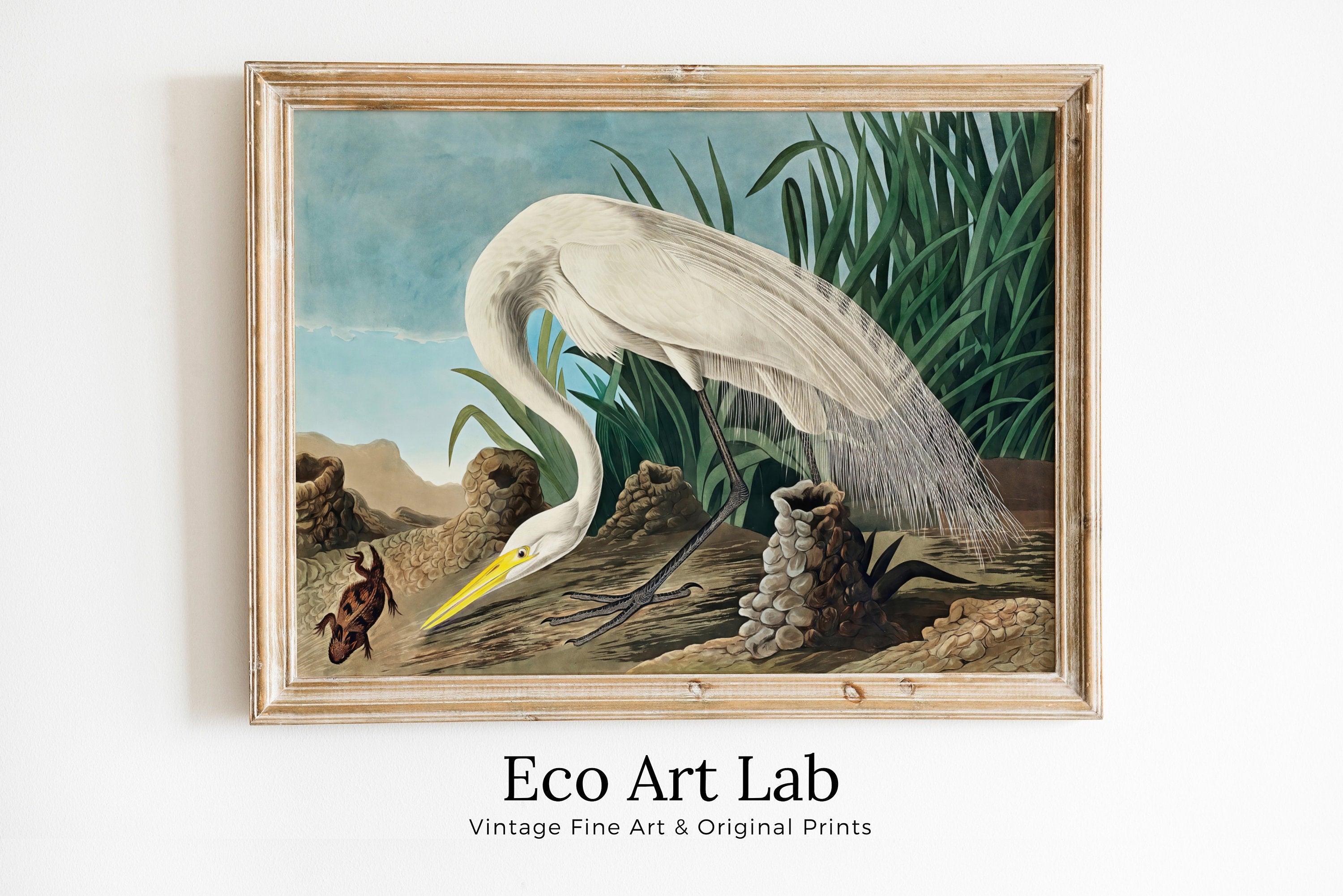 White Heron Vintage Tropical Bird Printable Wall Art. Wildlife Nature Colorful Tropical Bird Decor. Instant Download. Bird Poster Art Print