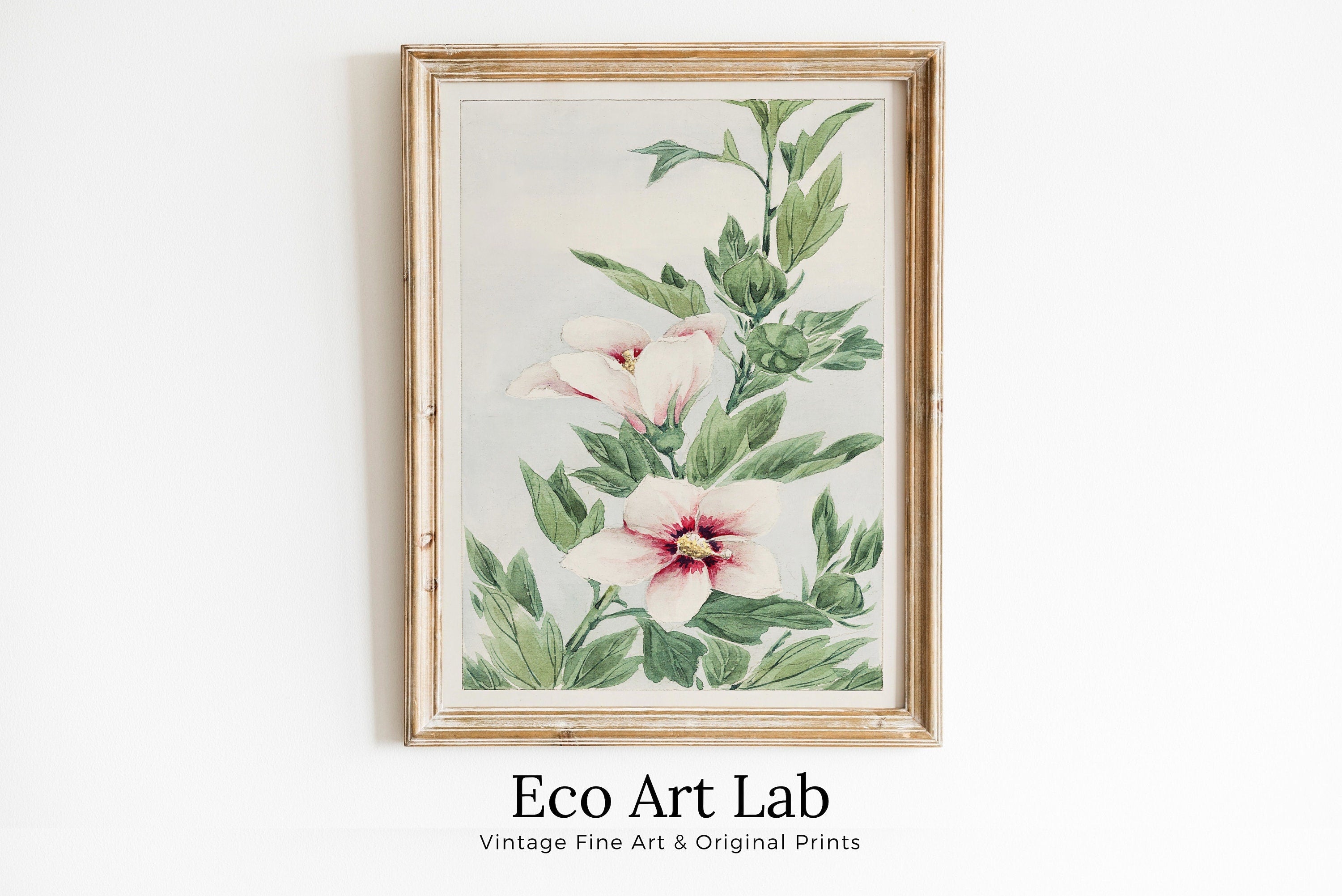 Vintage Japanese Flower Art Hibiscus Painting Printable Wall Art. Instant Download Antique Japanese Art. Botanical Print Floral Wall Art – Printable Wall Art Digital Download – Digital Download