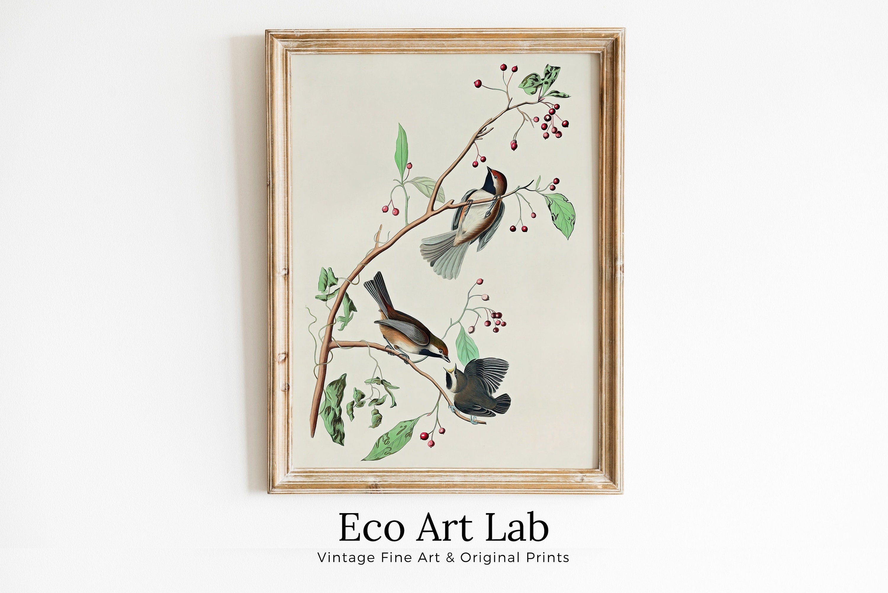 Vintage Three Birds Perched on Branch Painting. Instant Download Printable Wall Art. Bird Painting. Birds Decor Wall Art Prints. Bird Poster – Printable Wall Art Digital Download – Digital Download