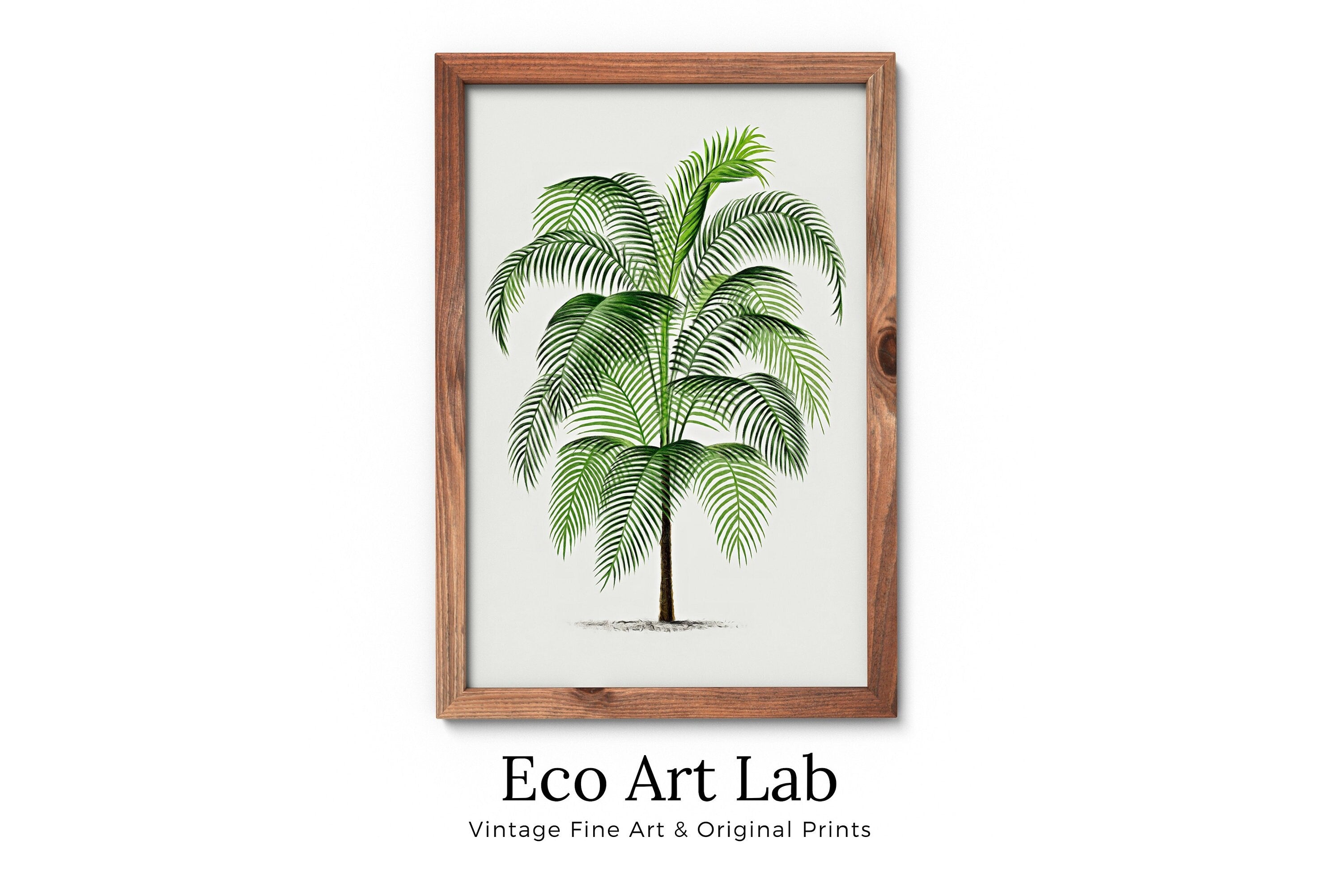 Vintage Palm Tree Drawing Print Tropical Wall Art. Palm Leaves Tree Decor, Retro Nature Poster Instant Download Botanical Illustration #17 – Printable Wall Art Digital Download – Digital Download