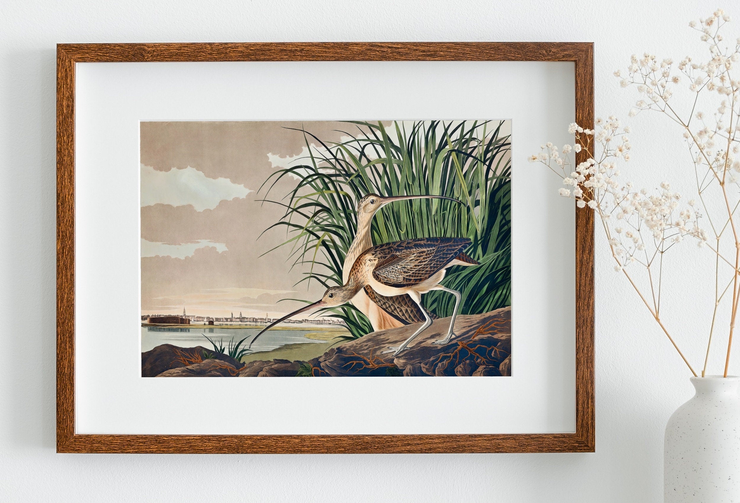 Vintage Tropical Bird Printable Wall Art. Long-billed Curlew Wildlife Nature Colorful Tropical Decor. Instant Download Bird Poster Art Print
