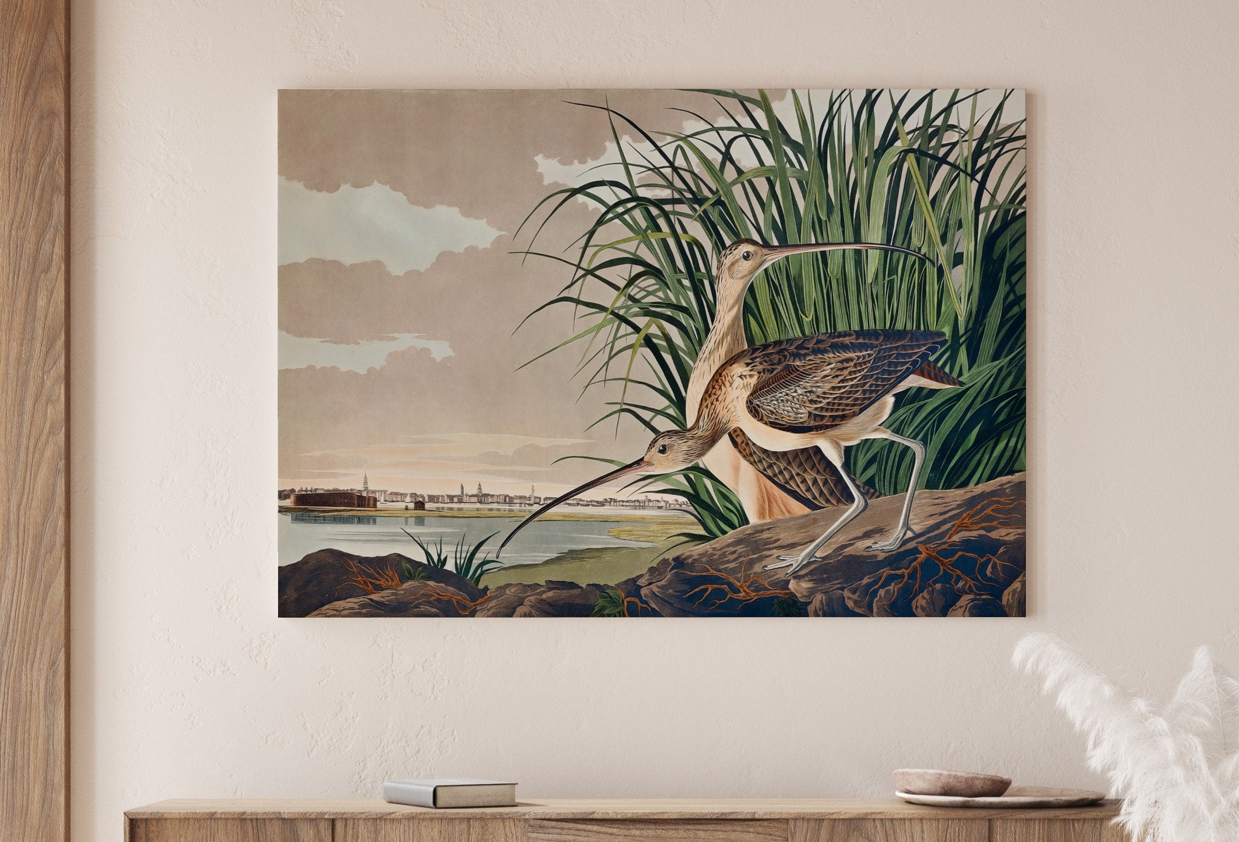 Vintage Tropical Bird Printable Wall Art. Long-billed Curlew Wildlife Nature Colorful Tropical Decor. Instant Download Bird Poster Art Print