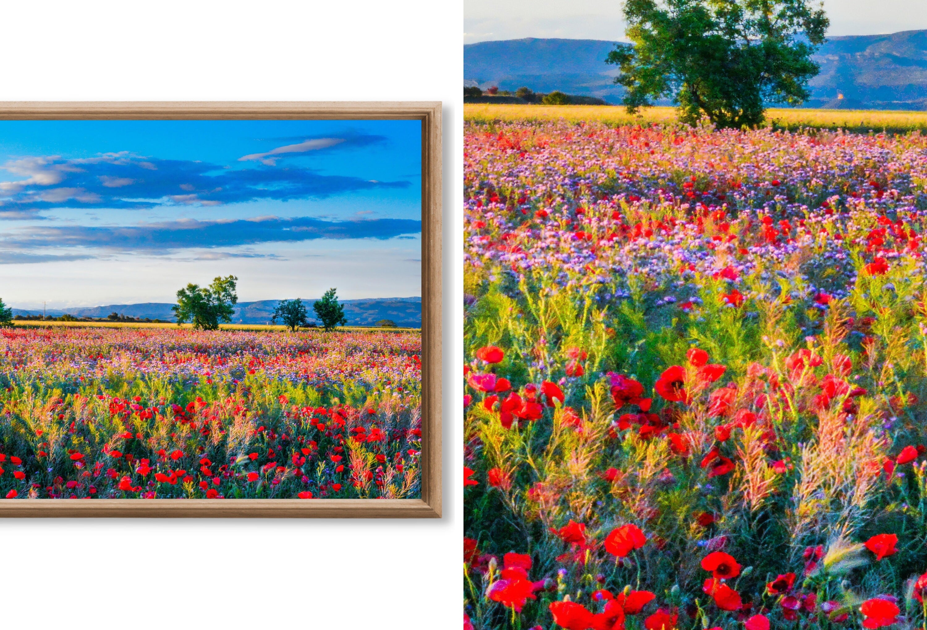 Set of 15 Samsung Frame TV 4K Art. Spring Wall Art Nature Digital Collection. Vintage Spring Decor TV Art Set. Instant Download Frame TV Art