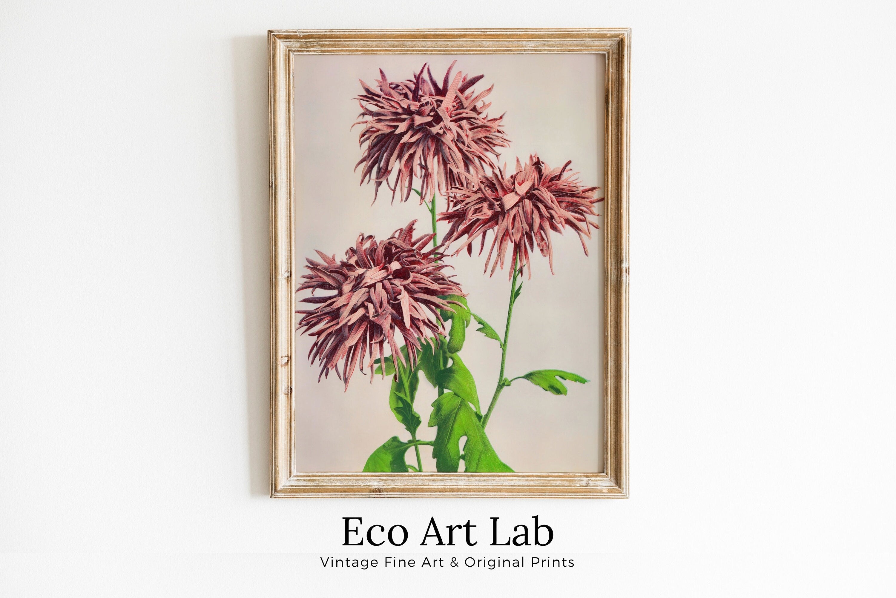 Vintage Japanese Flower Art Chrysanthemum Painting Printable Wall Art. Instant Download Antique Japanese Art Botanical Print Floral Wall Art – Printable Wall Art Digital Download – Digital Download