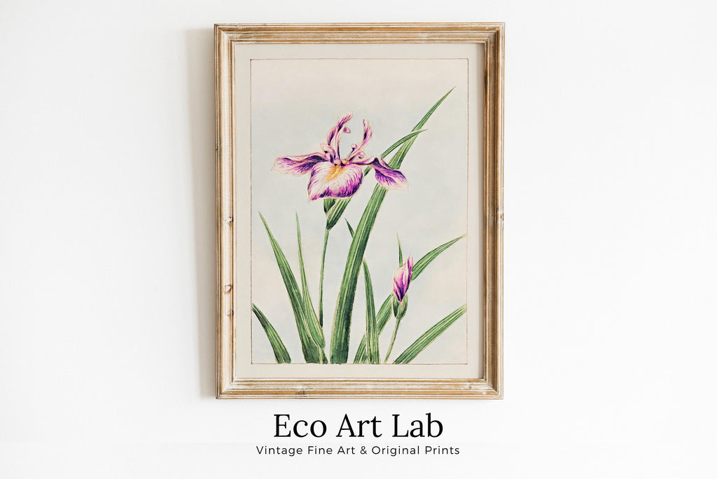 Vintage Japanese Flower Art Orchid Painting Printable Wall Art. Instant Download Antique Japanese Art Orchid Botanical Print Floral Wall Art