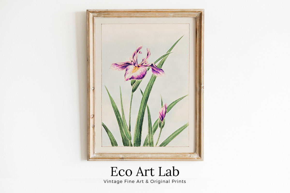 Vintage Japanese Flower Art Orchid Painting Printable Wall Art. Instant Download Antique Japanese Art Orchid Botanical Print Floral Wall Art