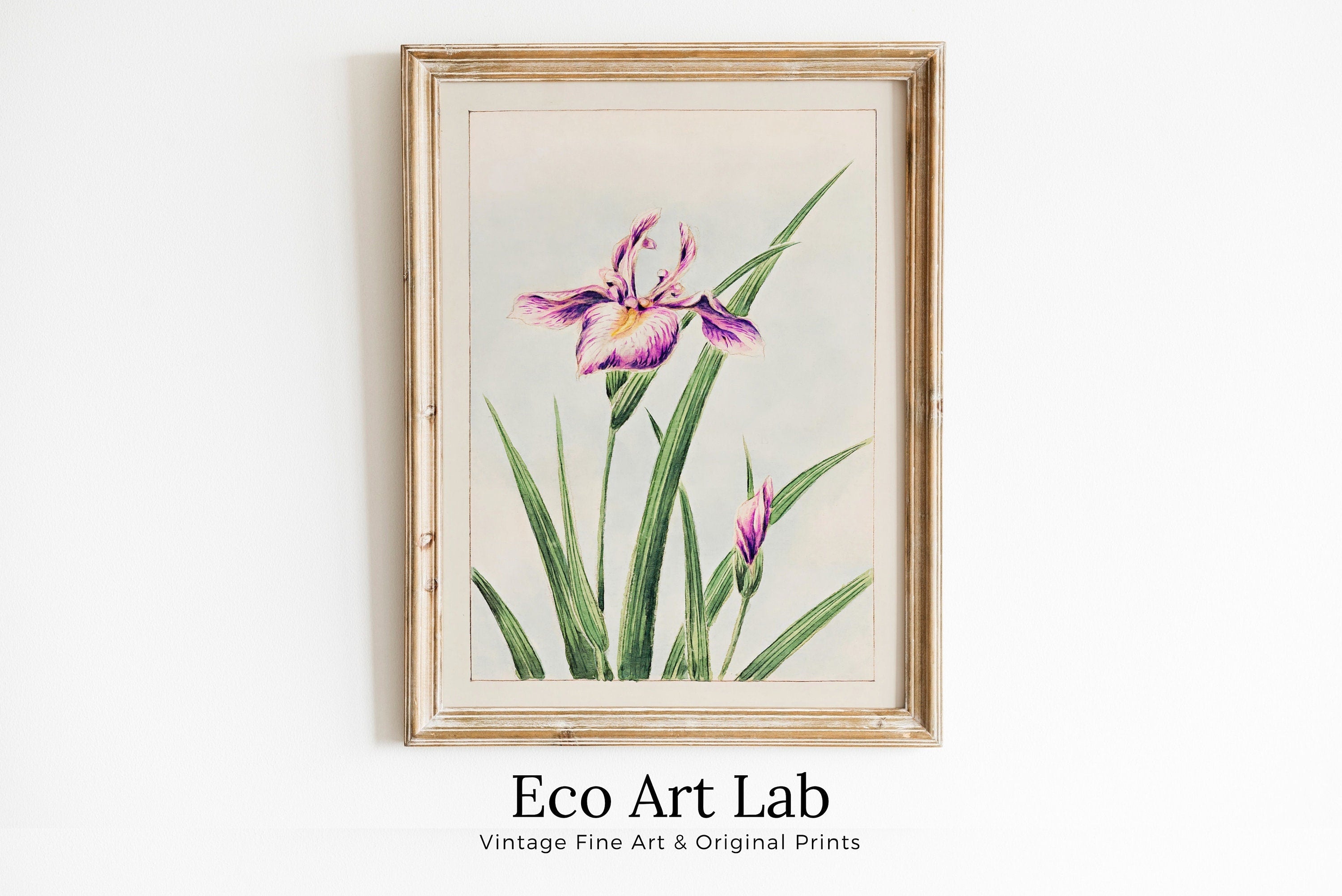 Vintage Japanese Flower Art Orchid Painting Printable Wall Art. Instant Download Antique Japanese Art Orchid Botanical Print Floral Wall Art