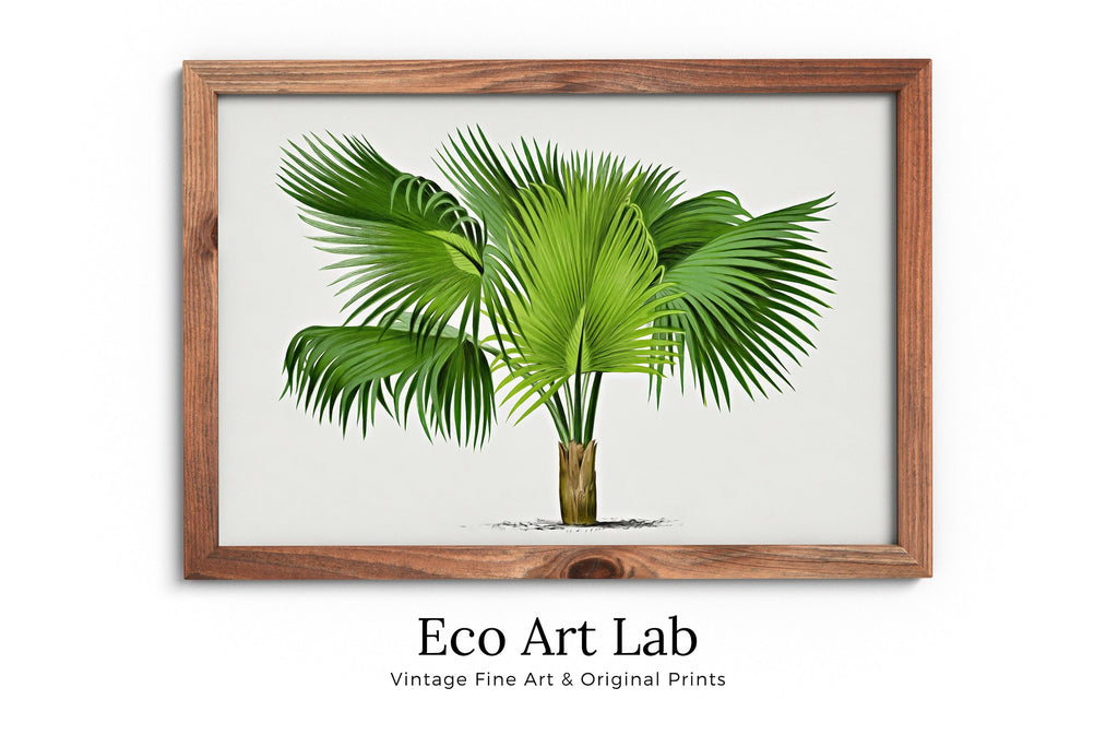 Vintage Palm Tree Print Tropical Wall Art. Palm Leaves Tree Decor, Retro Nature Poster Instant Download Botanical Print, Palm Trees Art #34