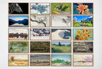 Set of 80 Samsung Frame TV 4K Art. Best Sellers Paintings & Digital Art Ultimate Collection. TV Art Set. Instant Download Frame TV Art