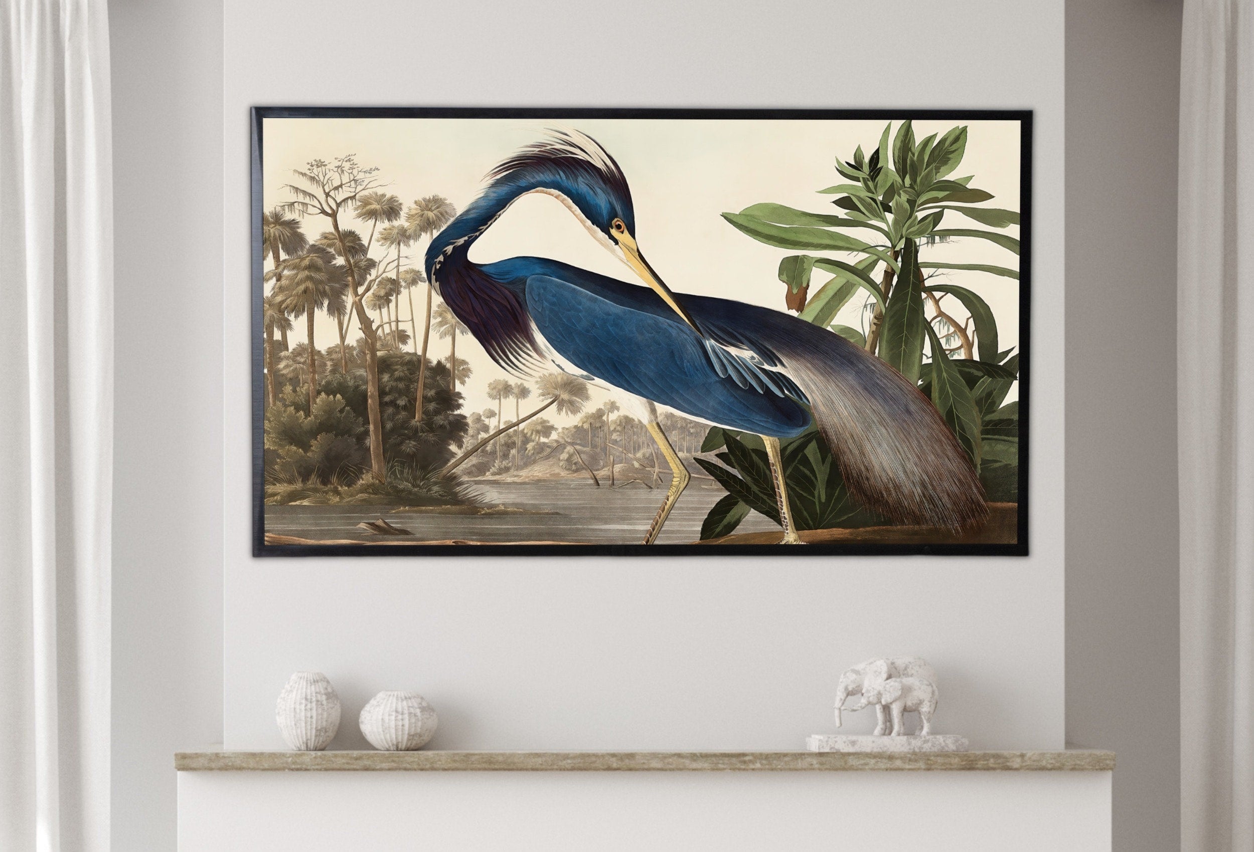 Samsung Frame TV Art 4K Blue Heron Tropical Bird Vintage Painting. Samsung TV Art Vintage. Digital Download. Nature Art for Samsung Frame TV