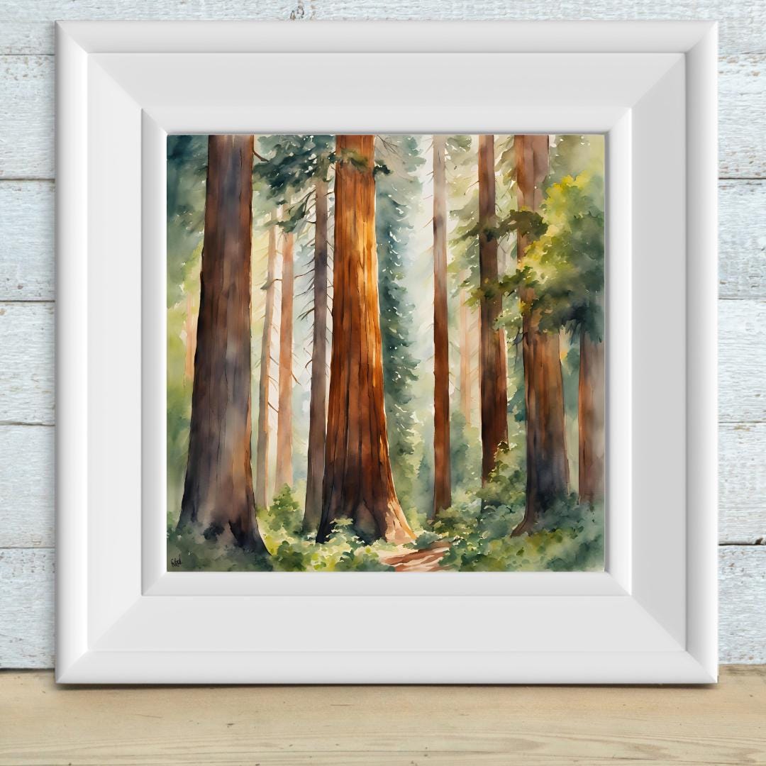 Nature Watercolor Art Printable I Sequoia Forest Wall Decor I Modern Square Home Decor