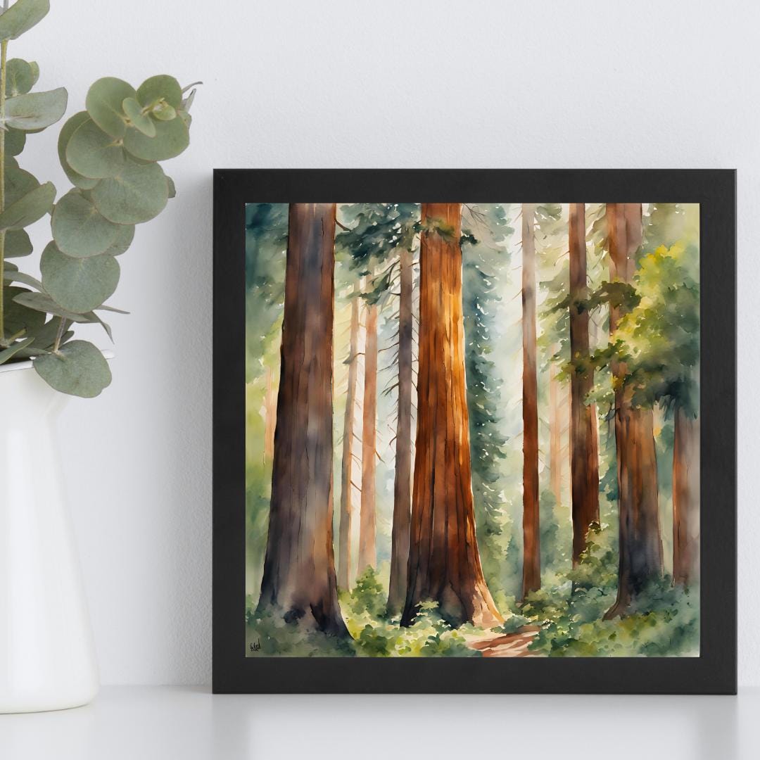 Nature Watercolor Art Printable I Sequoia Forest Wall Decor I Modern Square Home Decor